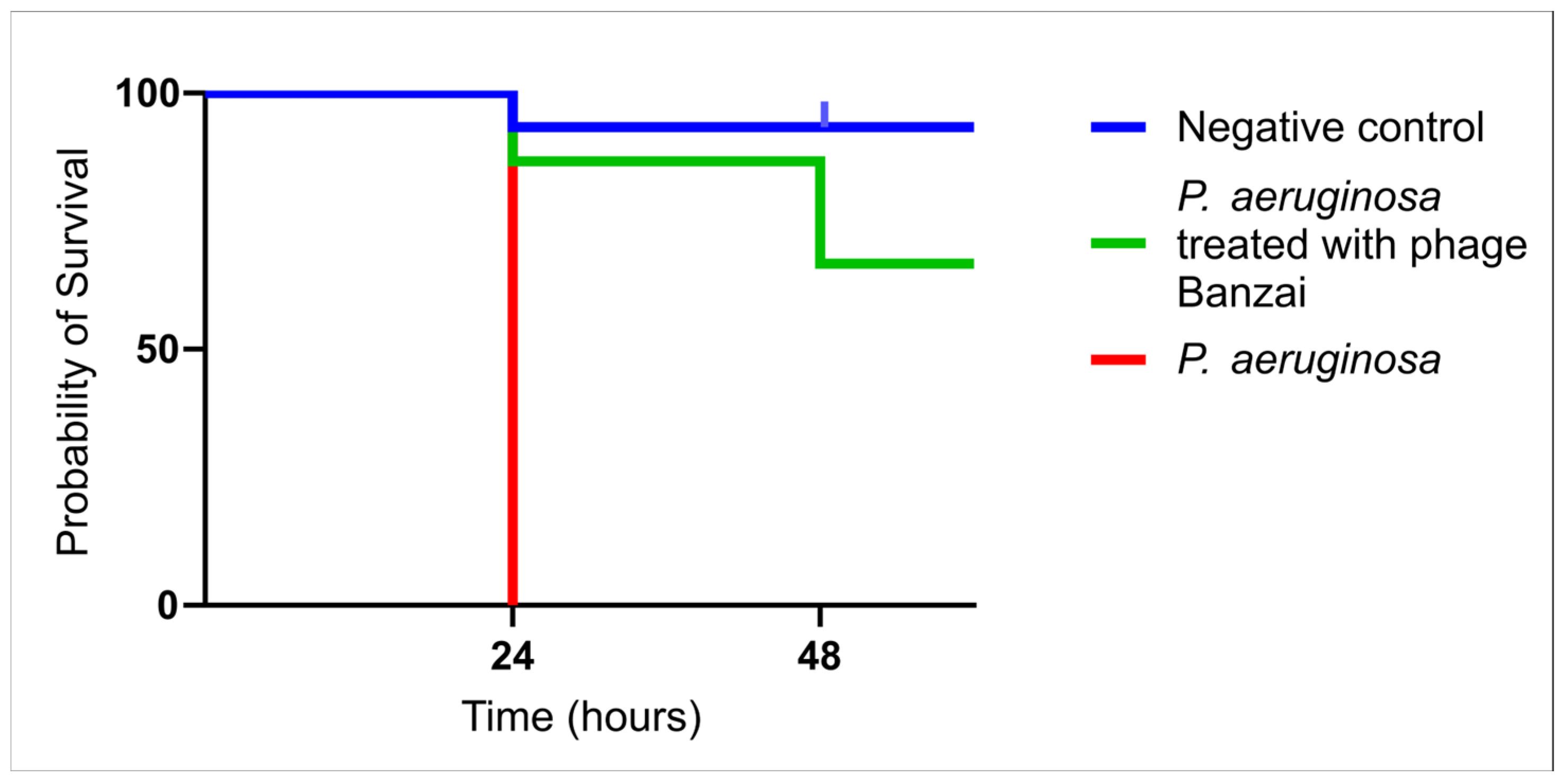 Viruses 17 01088 g002