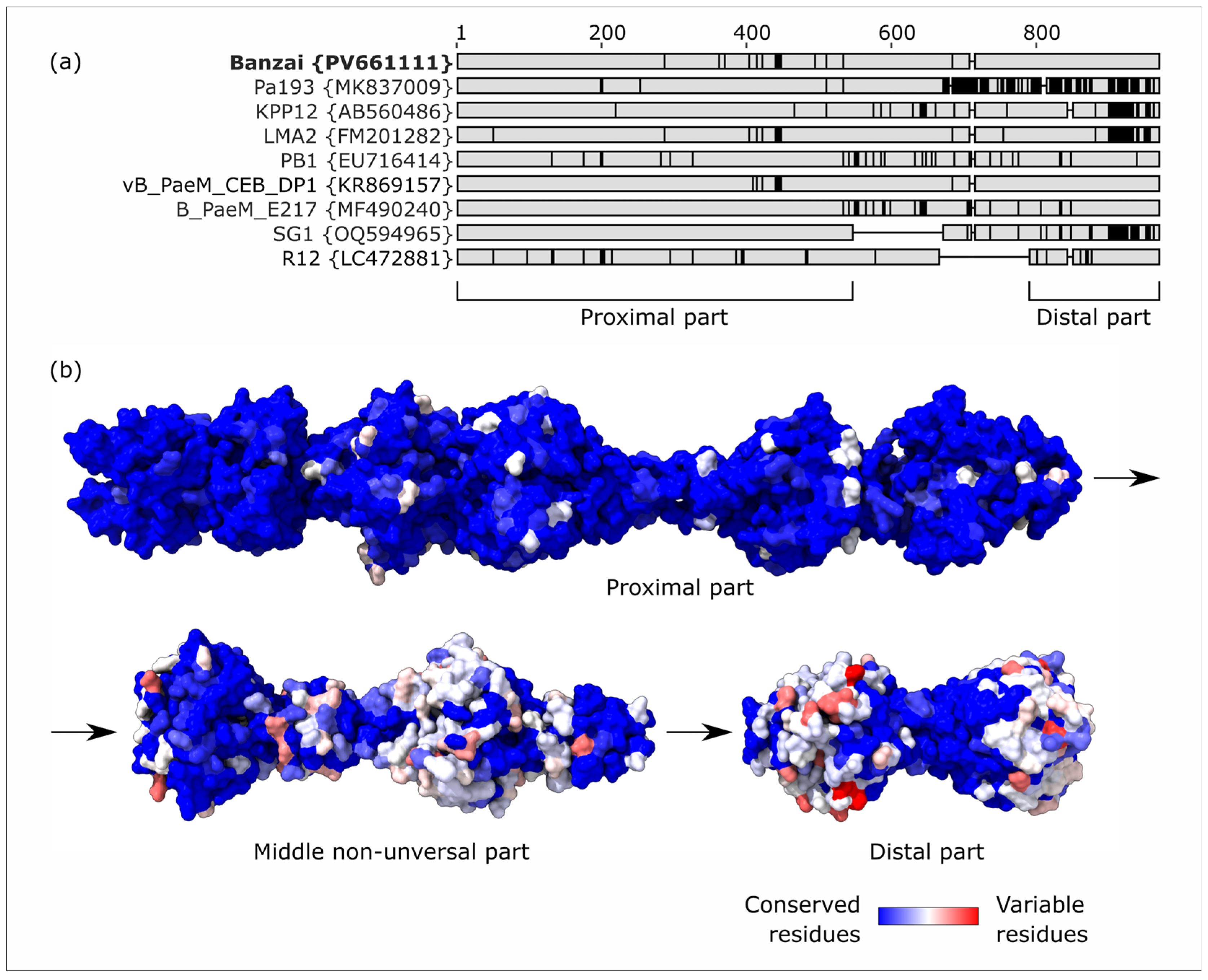 Viruses 17 01088 g005