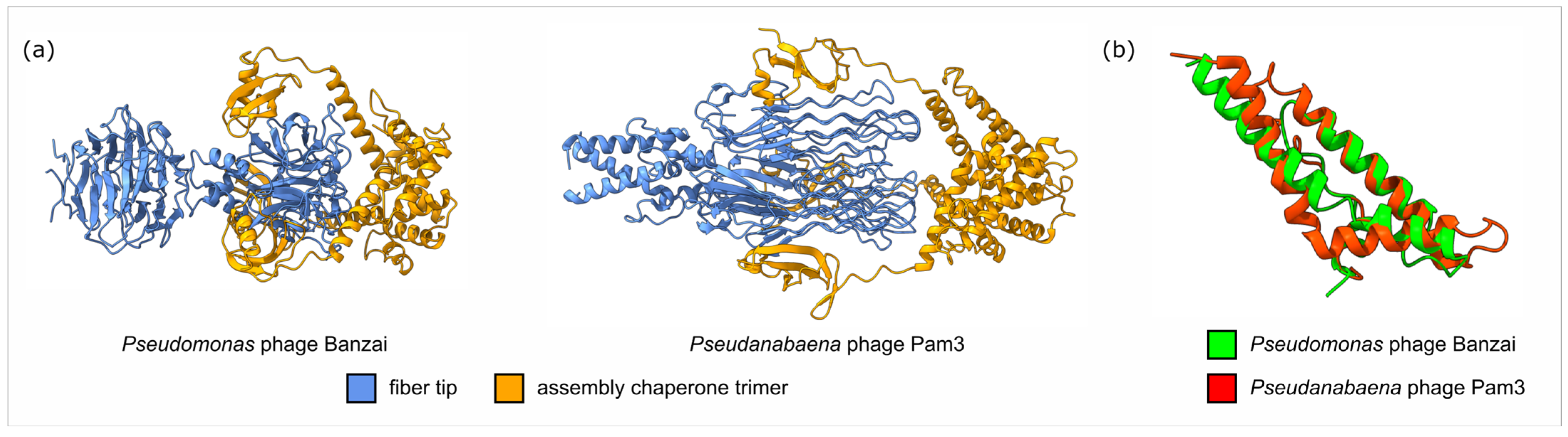 Viruses 17 01088 g006