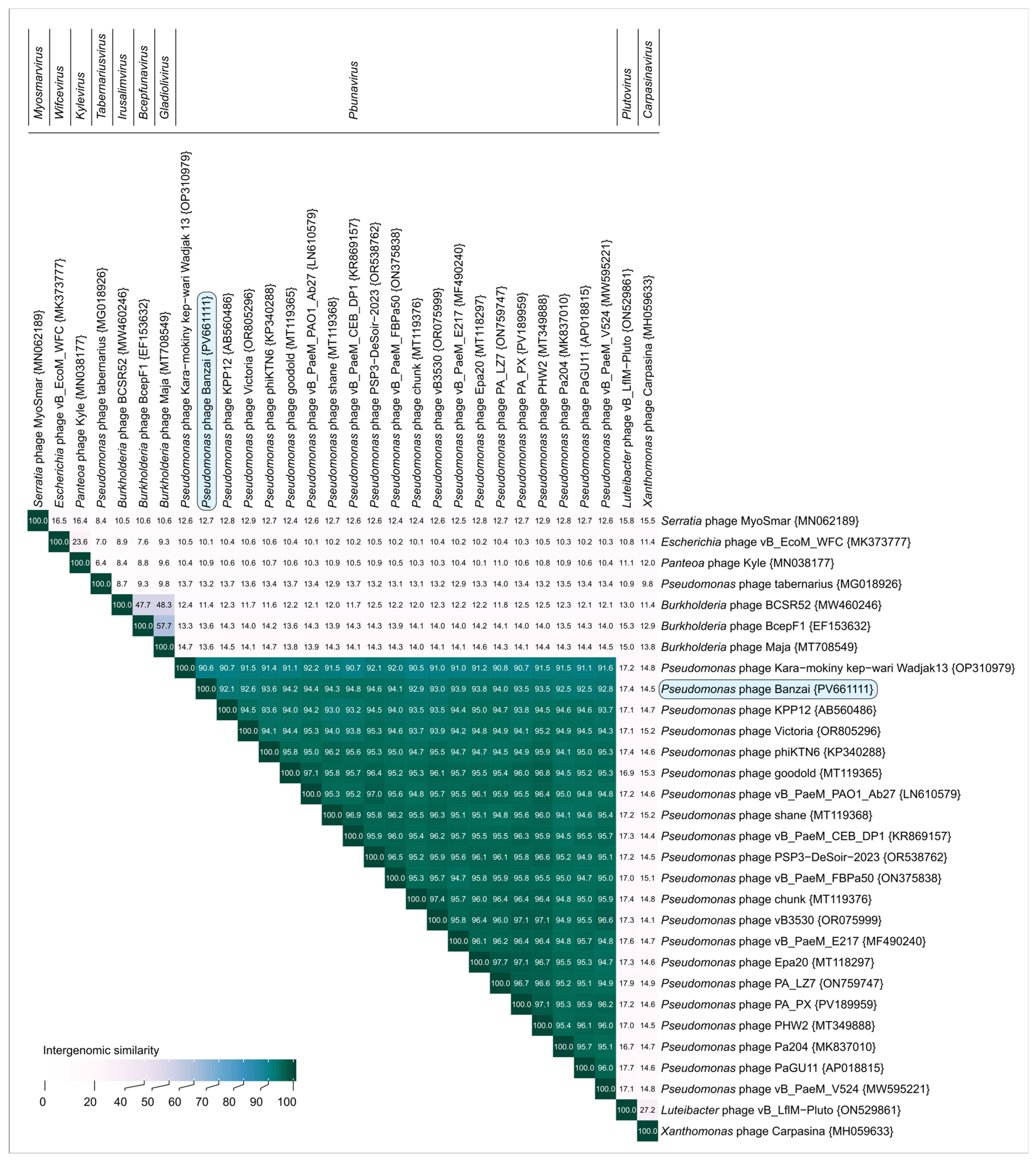 Viruses 17 01088 g007