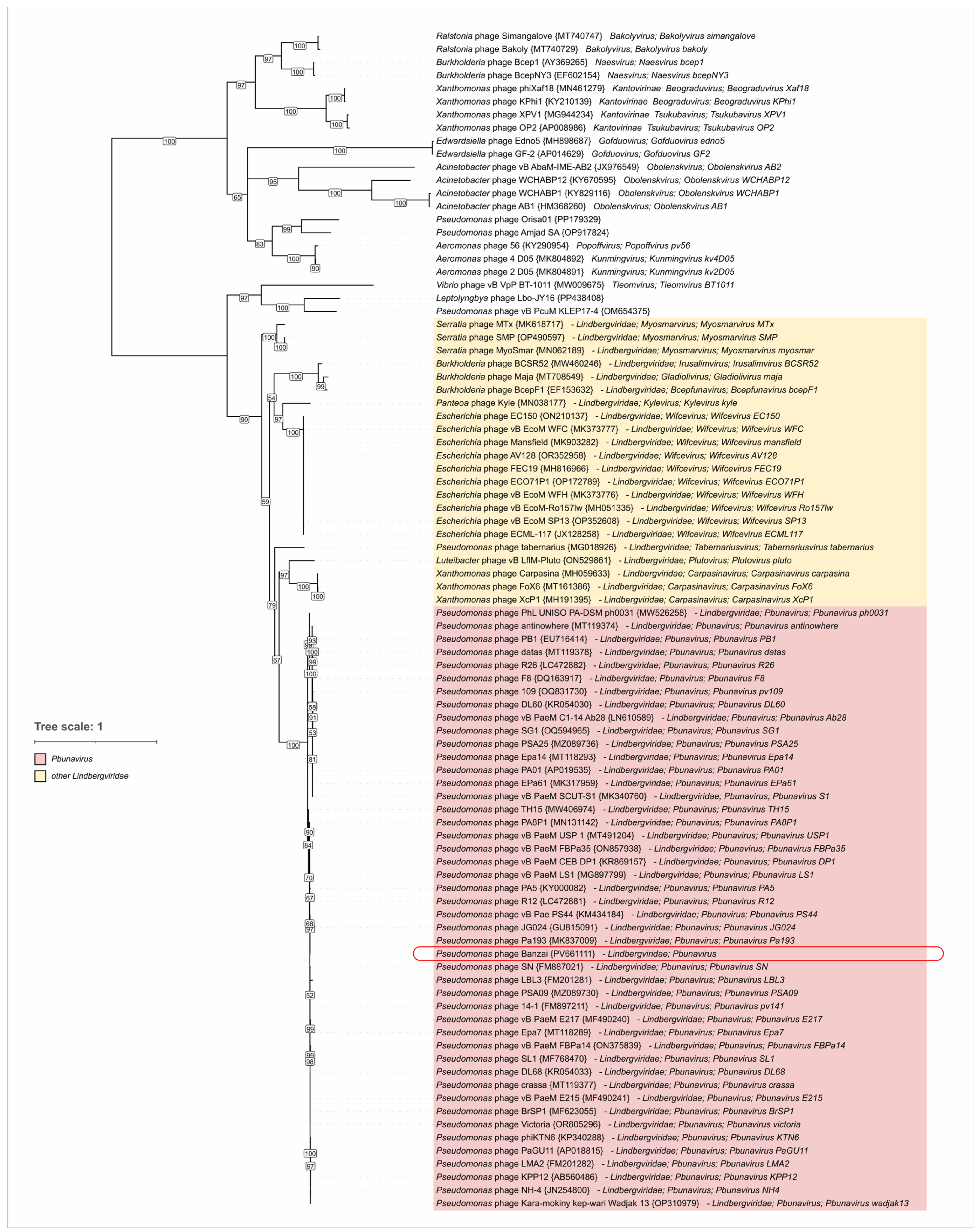 Viruses 17 01088 g009