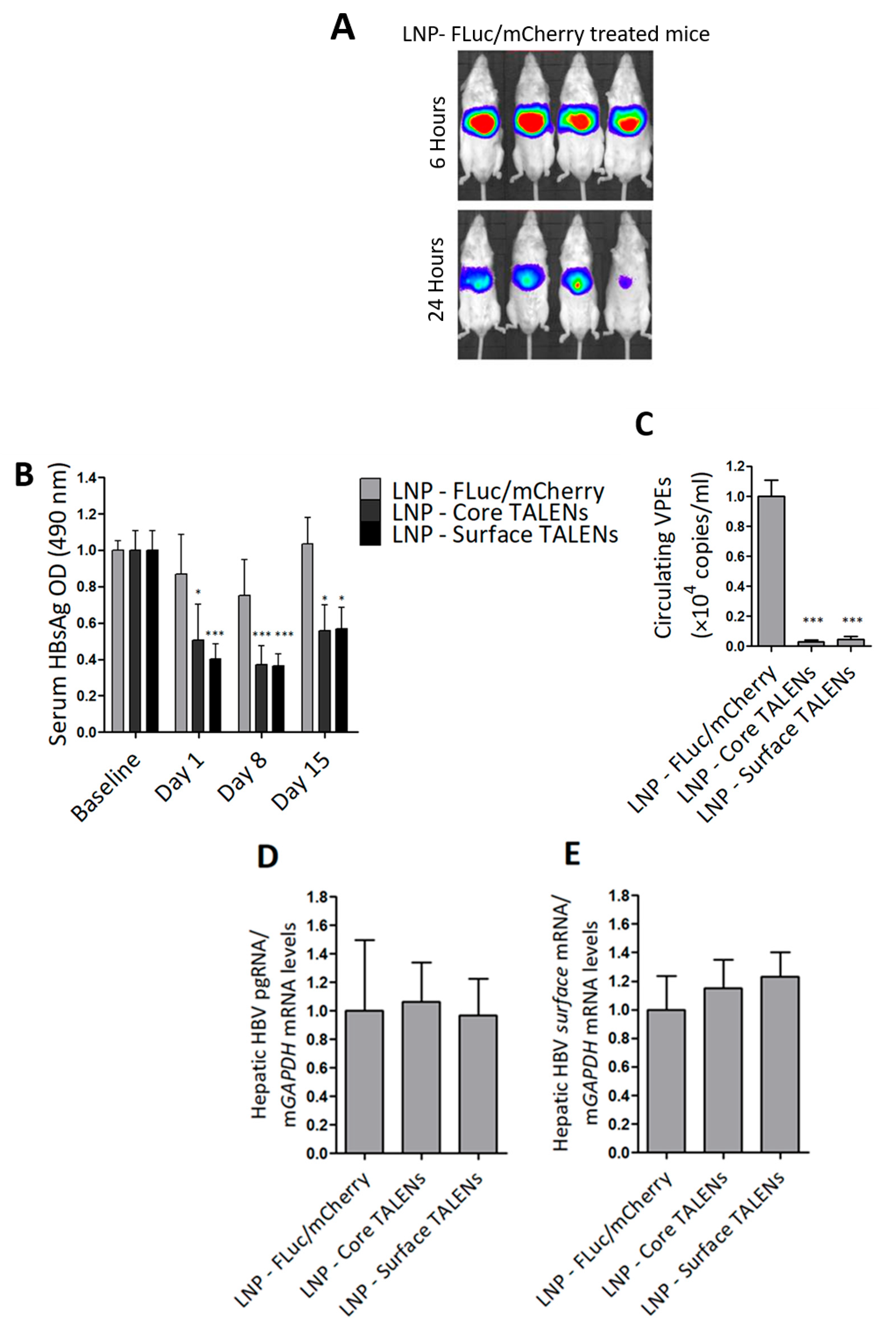 Viruses 17 01090 g003