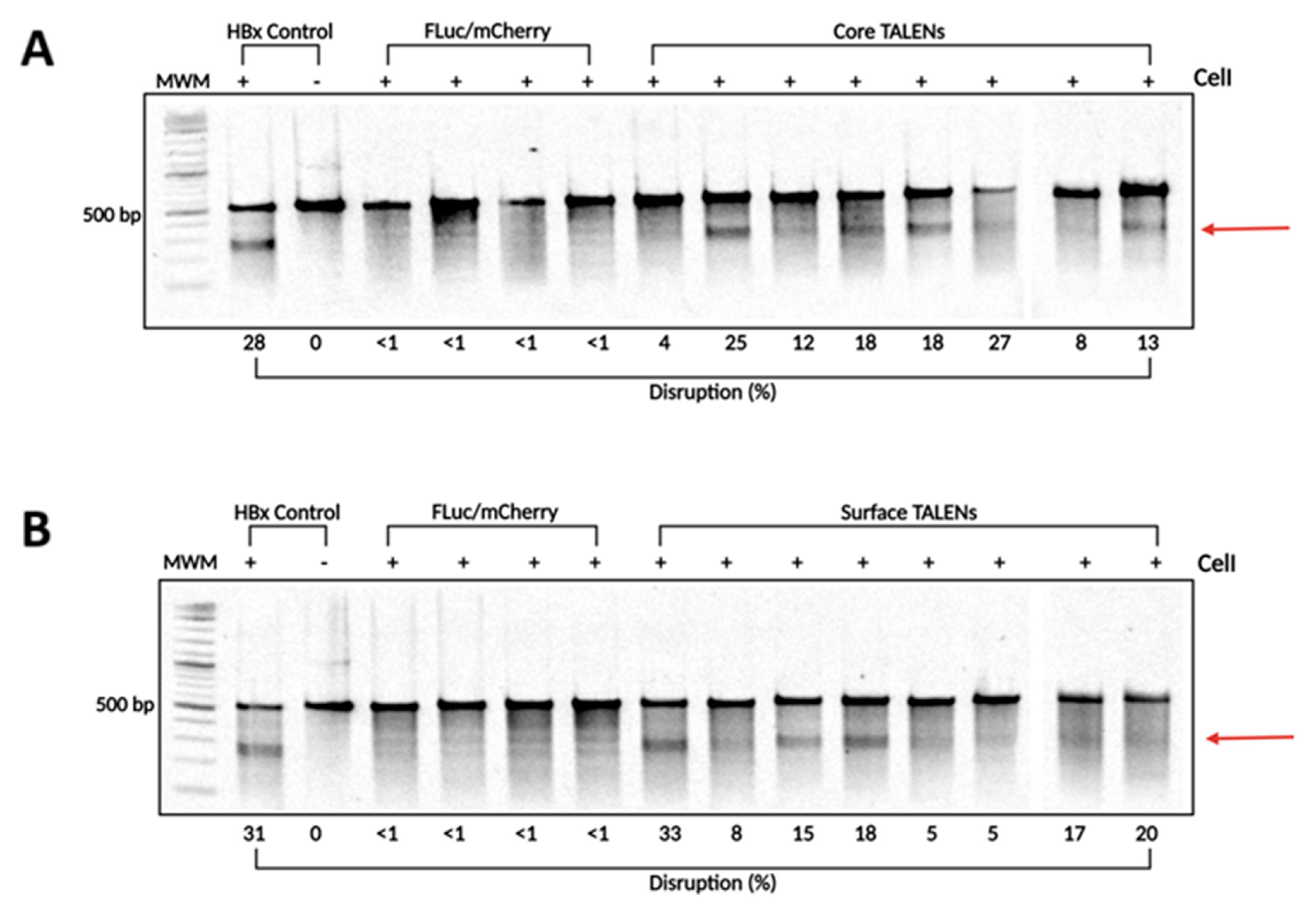 Viruses 17 01090 g004