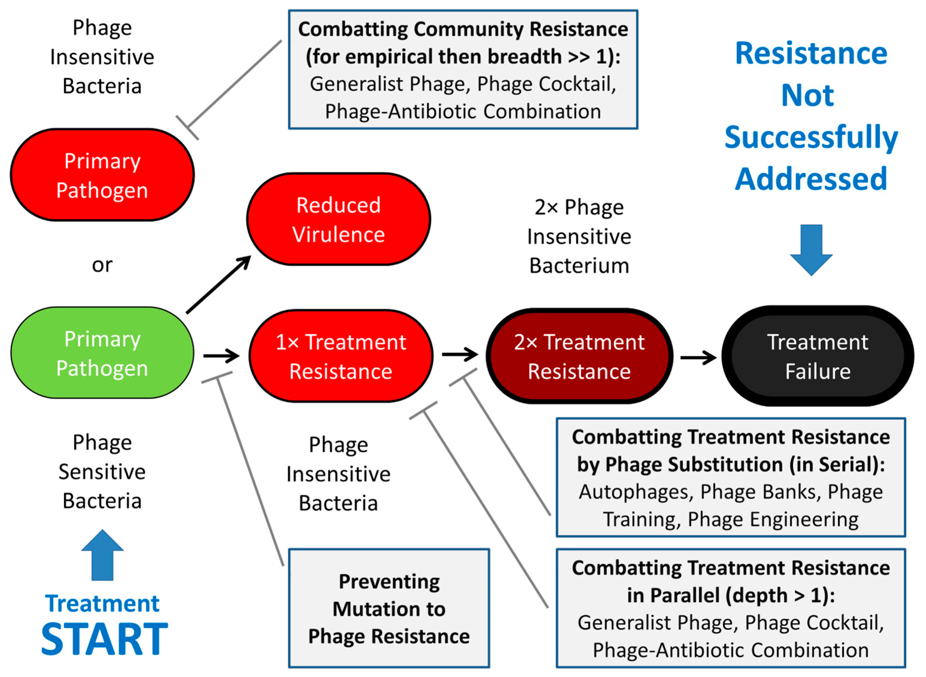 Viruses 17 01094 g002 Viruses 17 01094 g002