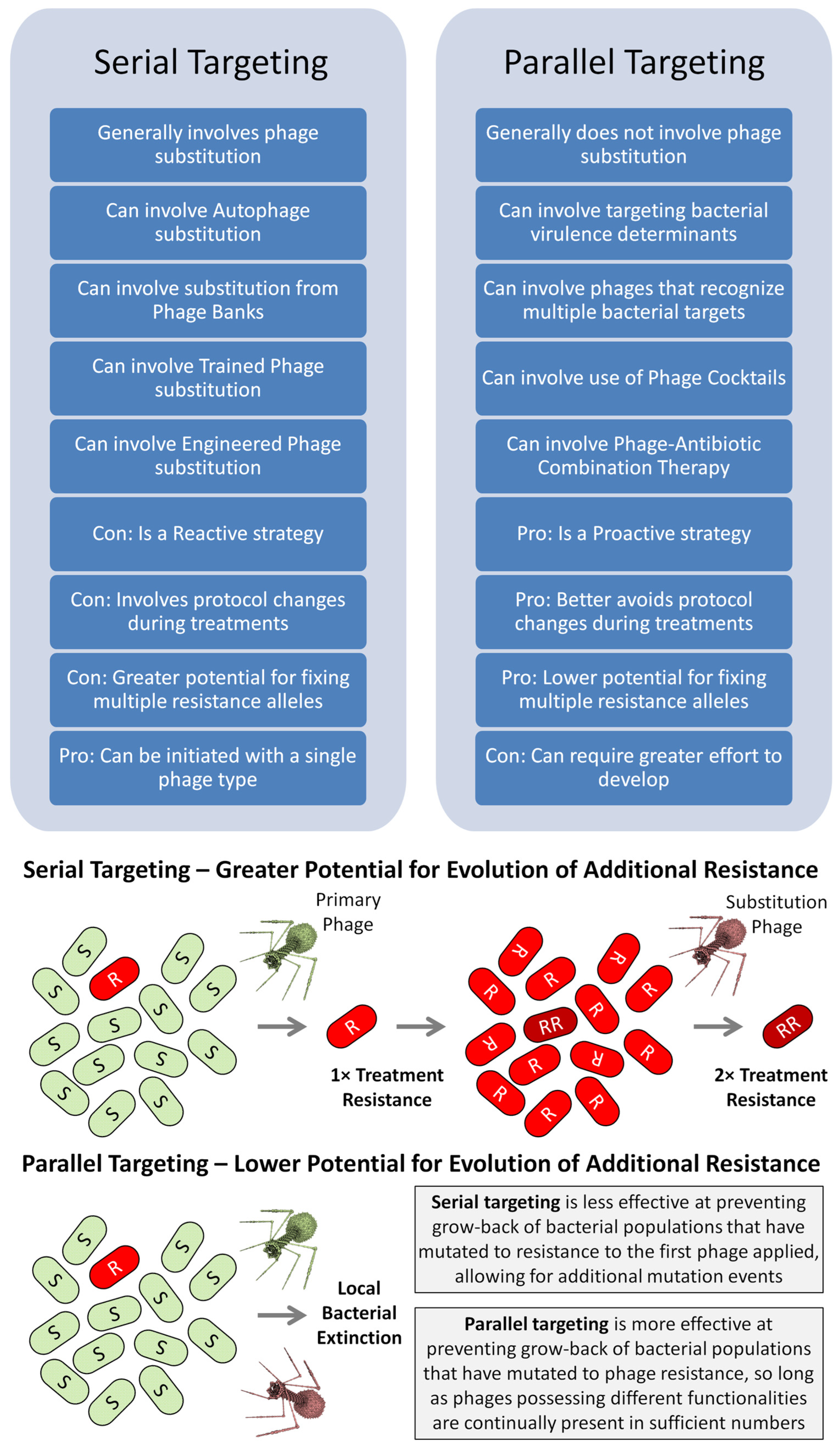 Viruses 17 01094 g003 Viruses 17 01094 g003