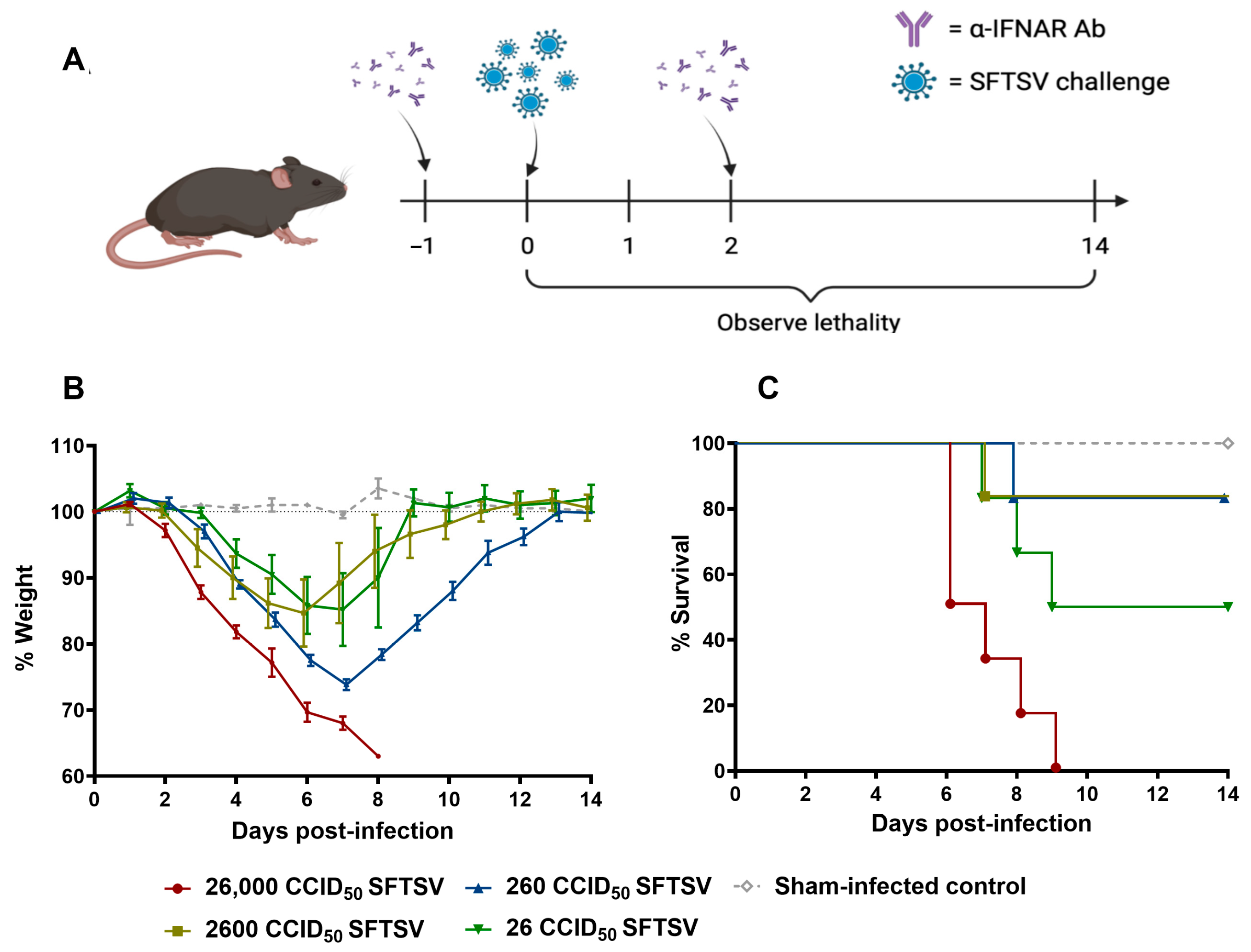 Viruses 17 01095 g001 Viruses 17 01095 g001