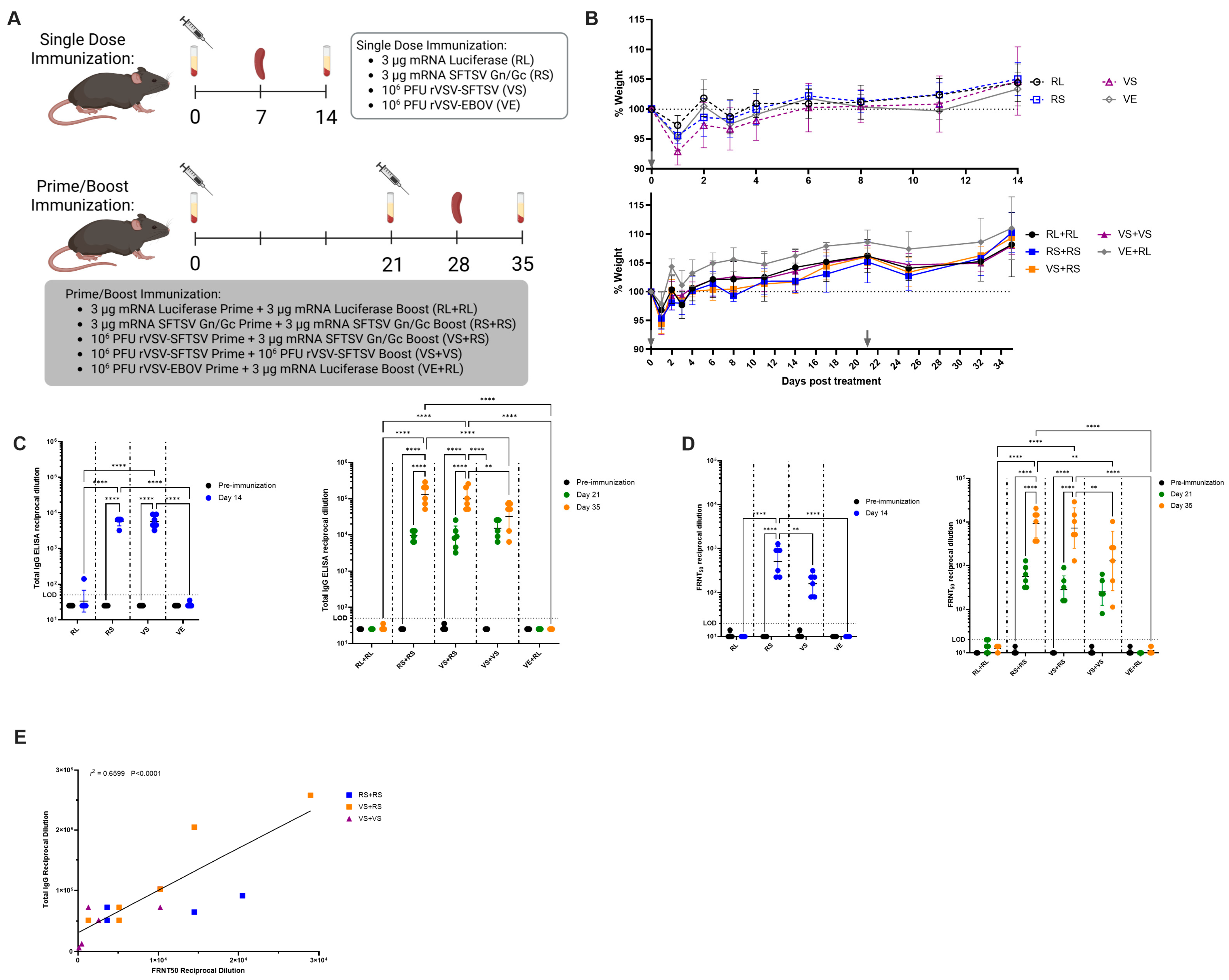 Viruses 17 01095 g002 Viruses 17 01095 g002