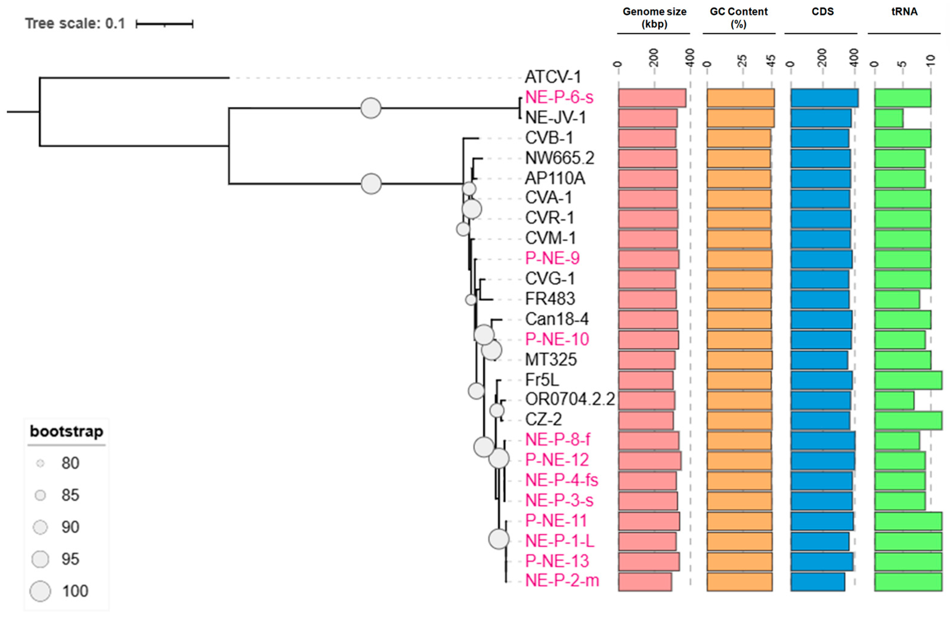 Viruses 17 01096 g001 Viruses 17 01096 g001