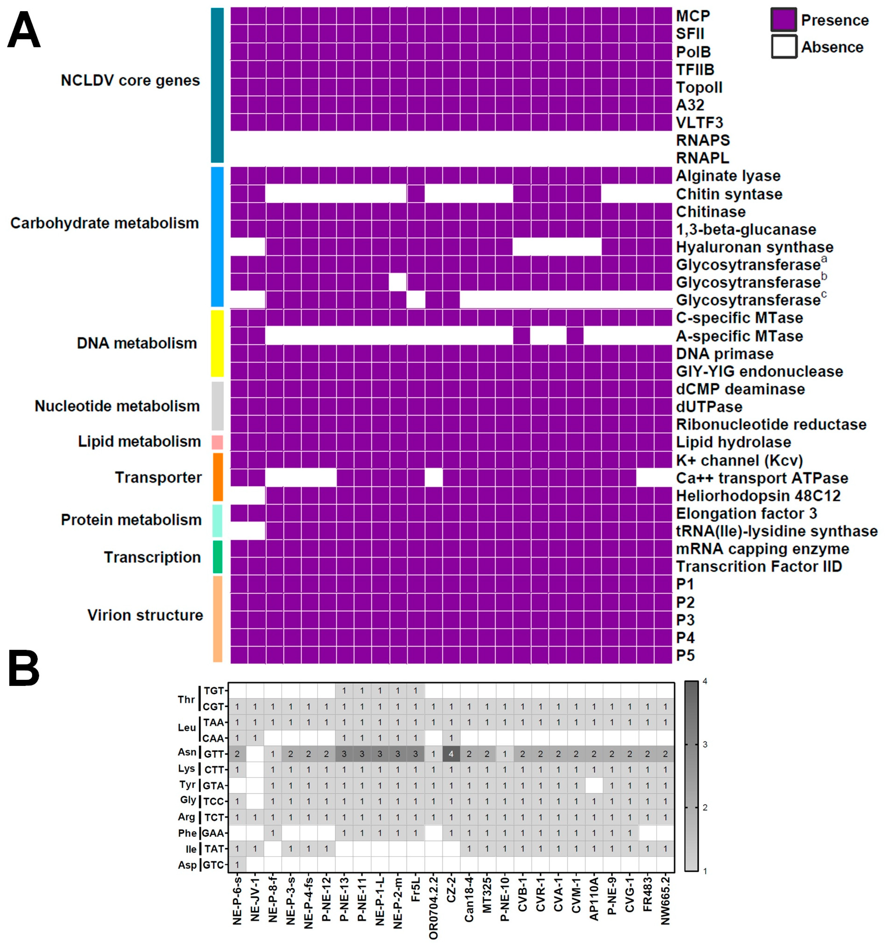 Viruses 17 01096 g002 Viruses 17 01096 g002