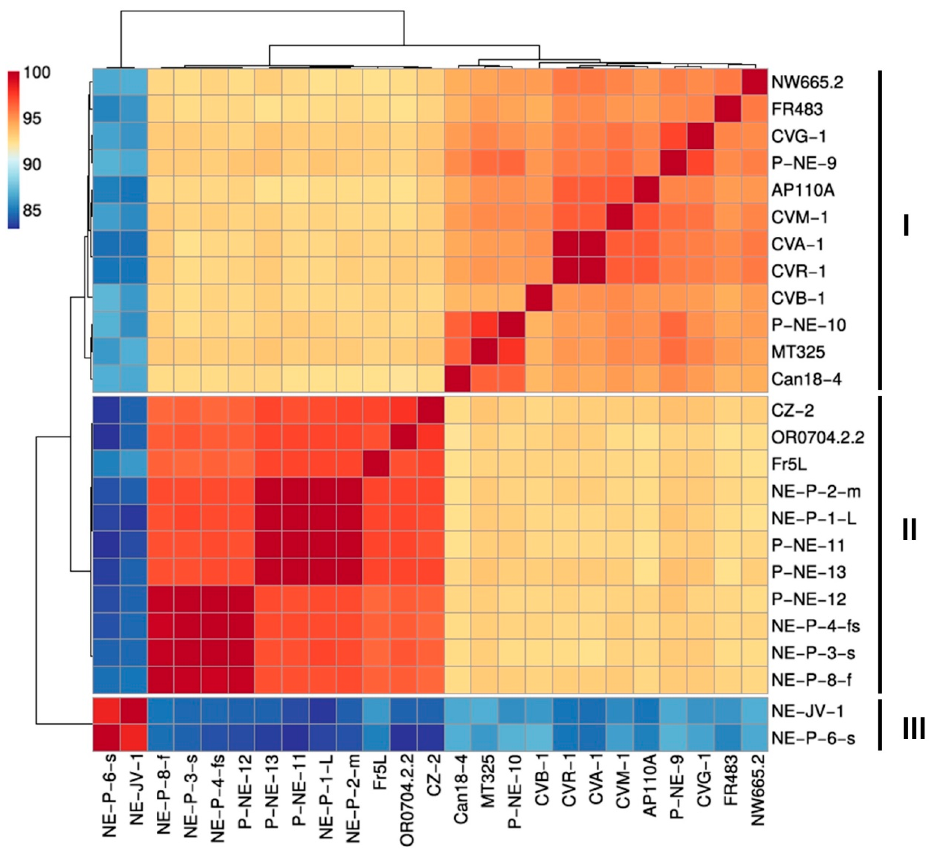 Viruses 17 01096 g004 Viruses 17 01096 g004