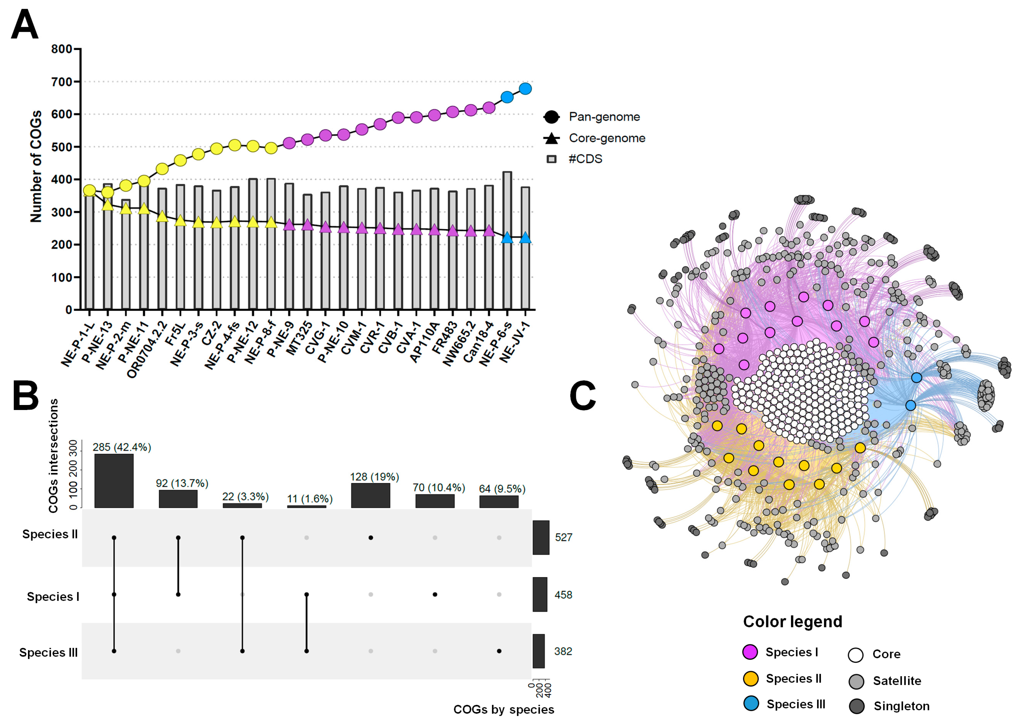 Viruses 17 01096 g005 Viruses 17 01096 g005