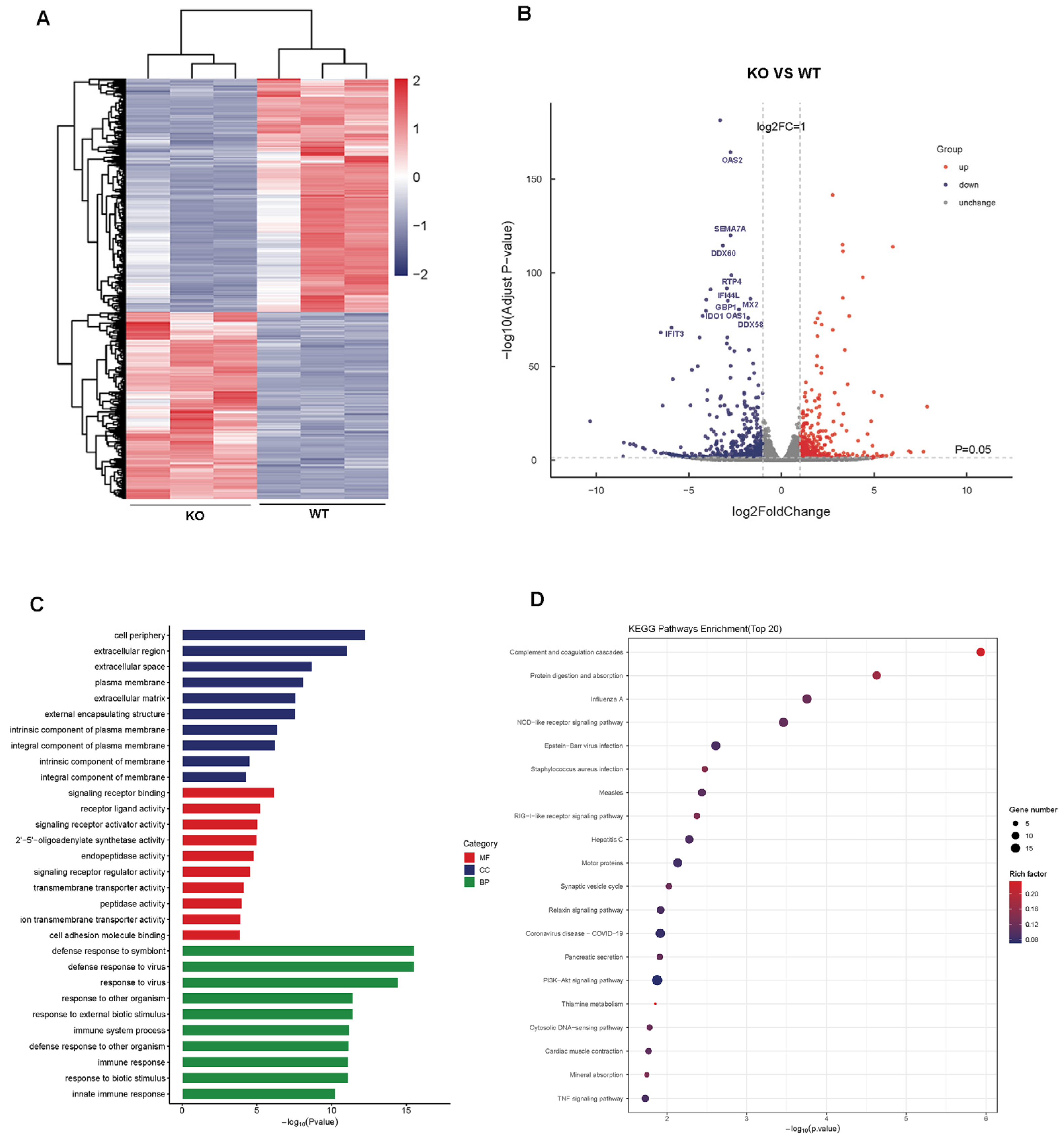 Viruses 17 01097 g003
