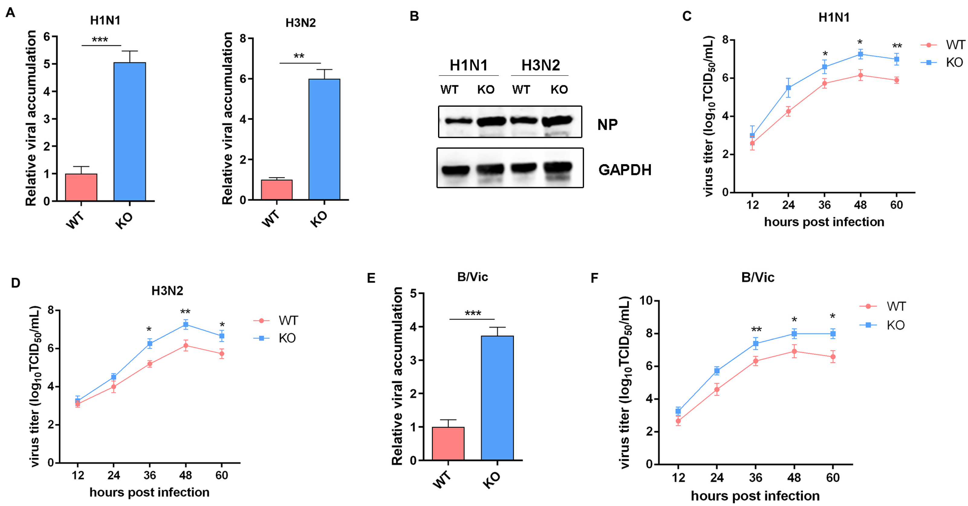 Viruses 17 01097 g005