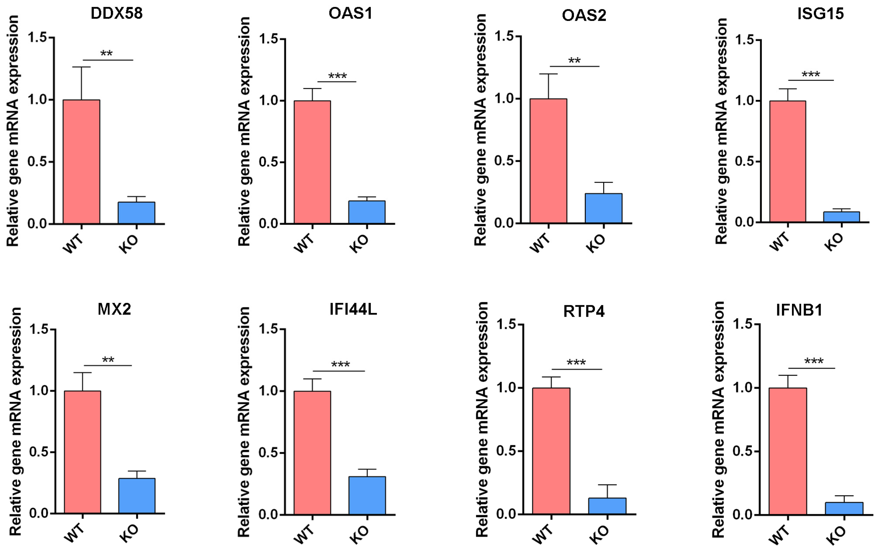 Viruses 17 01097 g007