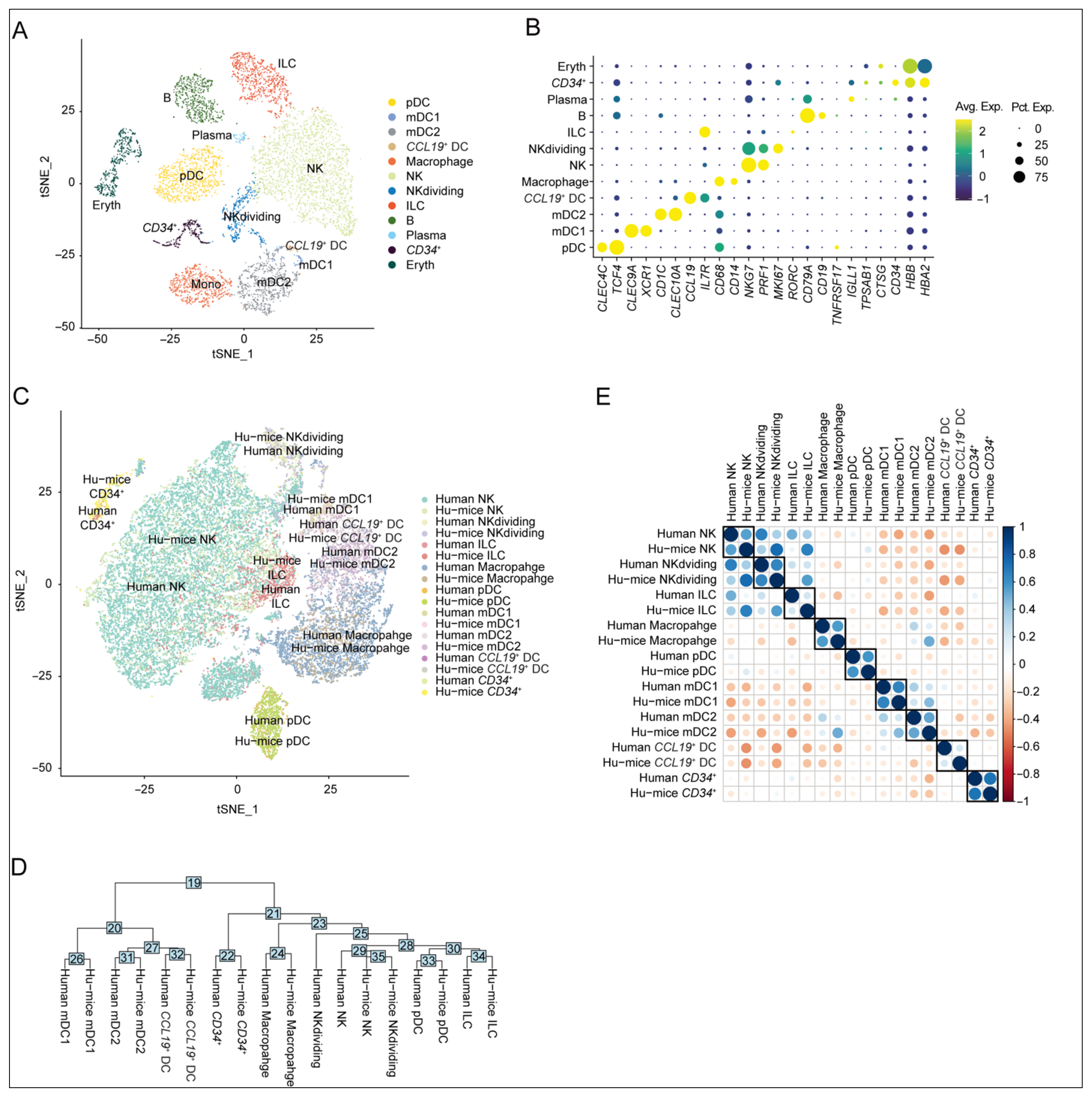 Viruses 17 01099 g001