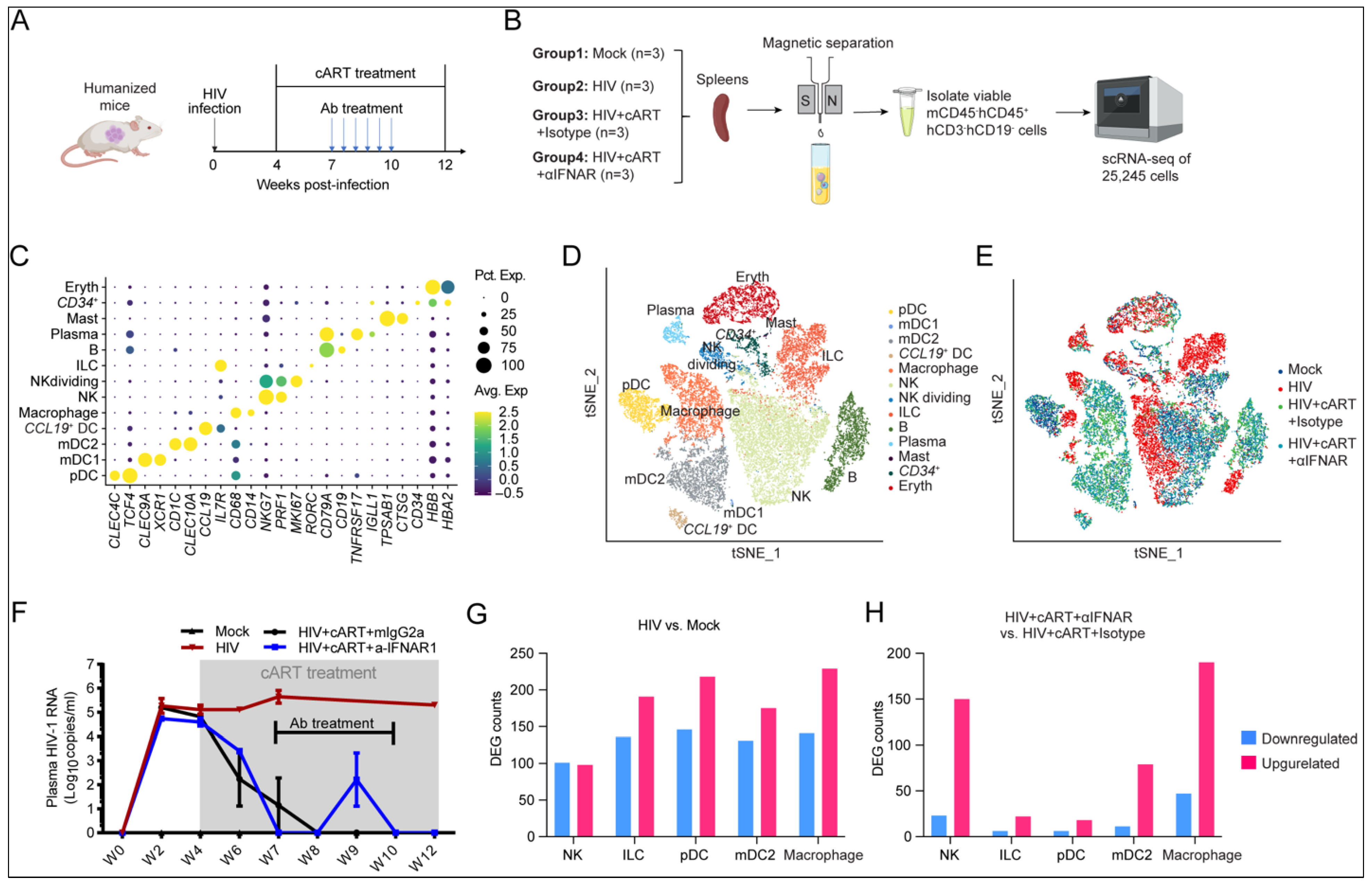 Viruses 17 01099 g002