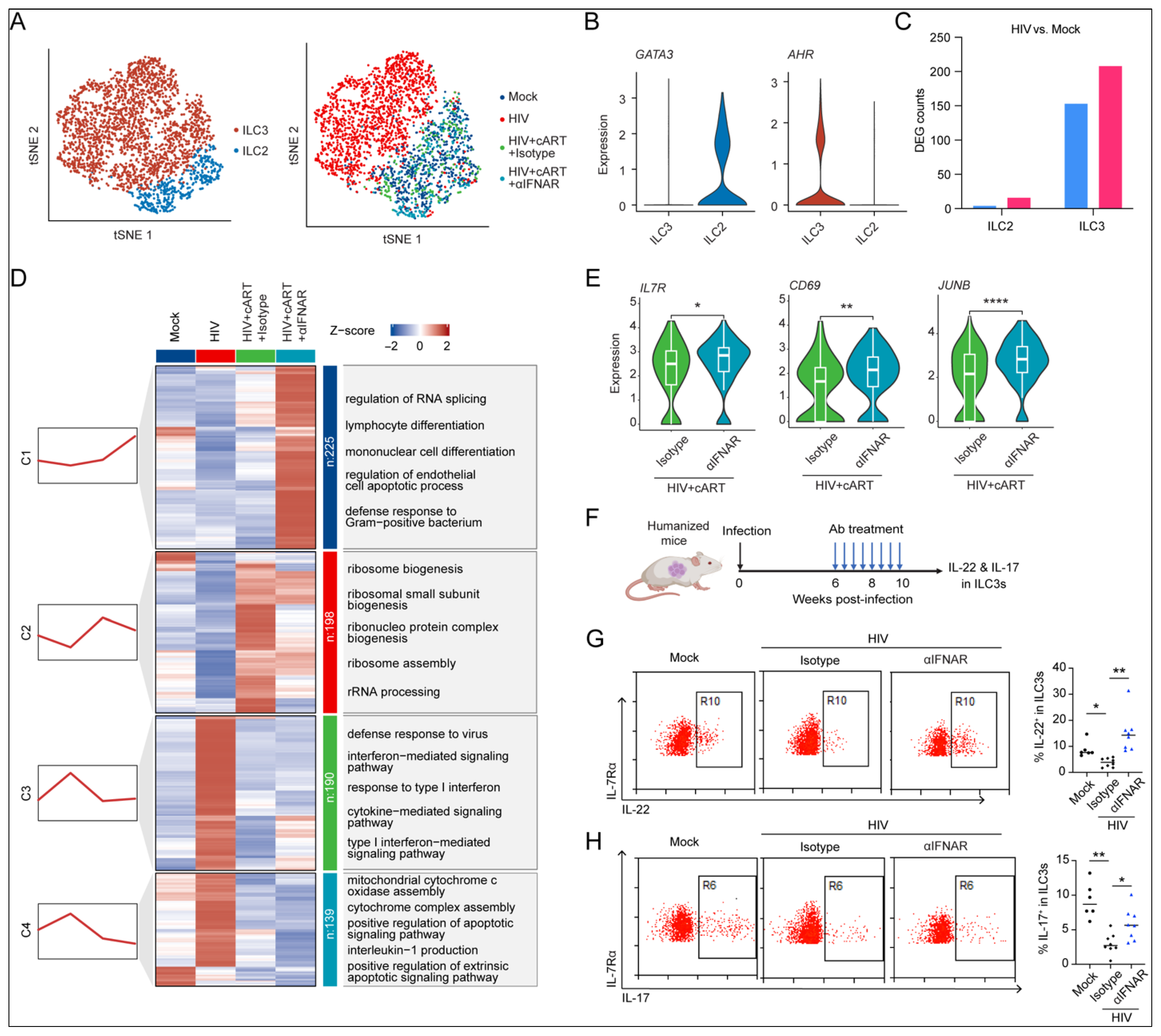 Viruses 17 01099 g005