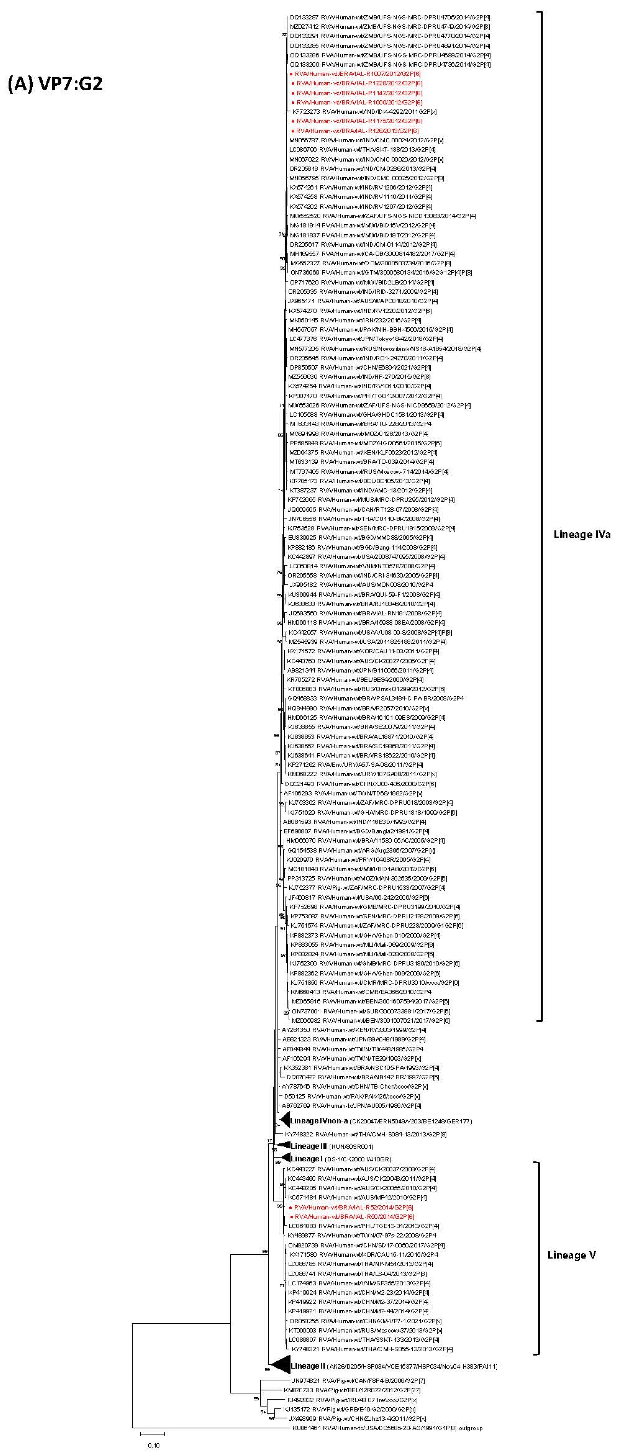 Viruses 17 01103 g001a Viruses 17 01103 g001a