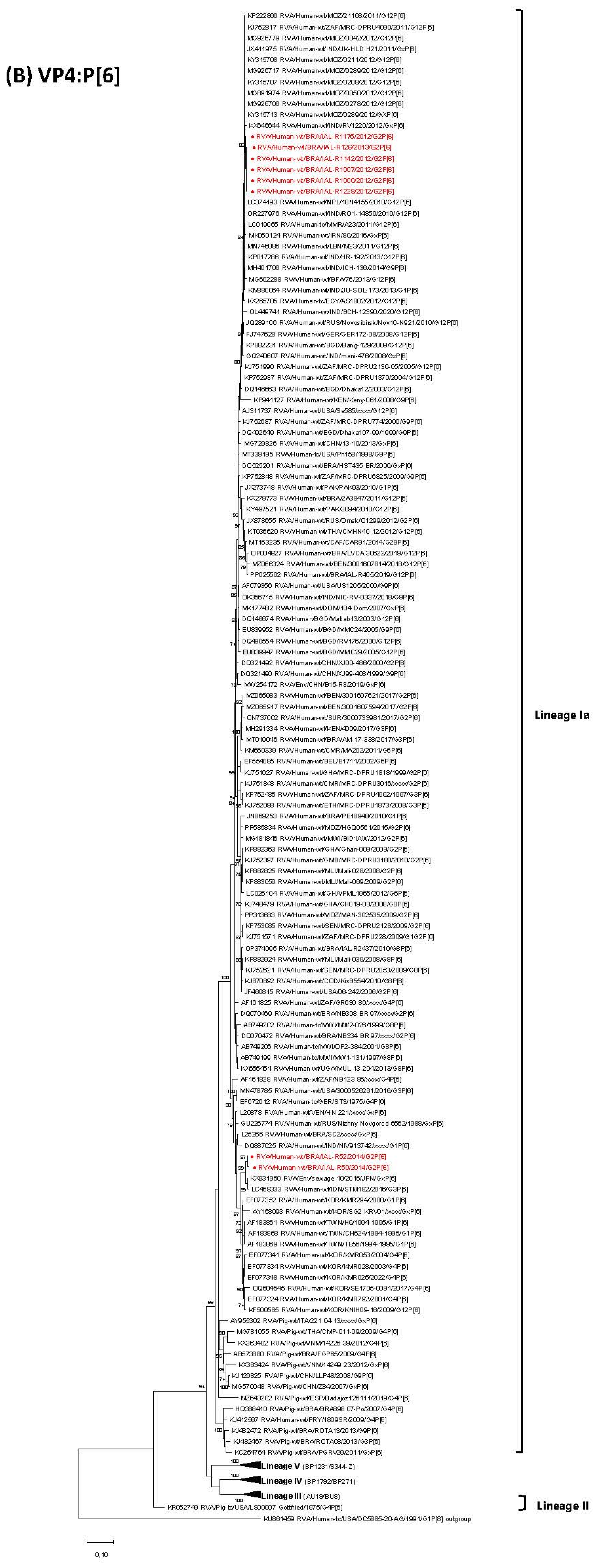 Viruses 17 01103 g001b Viruses 17 01103 g001b