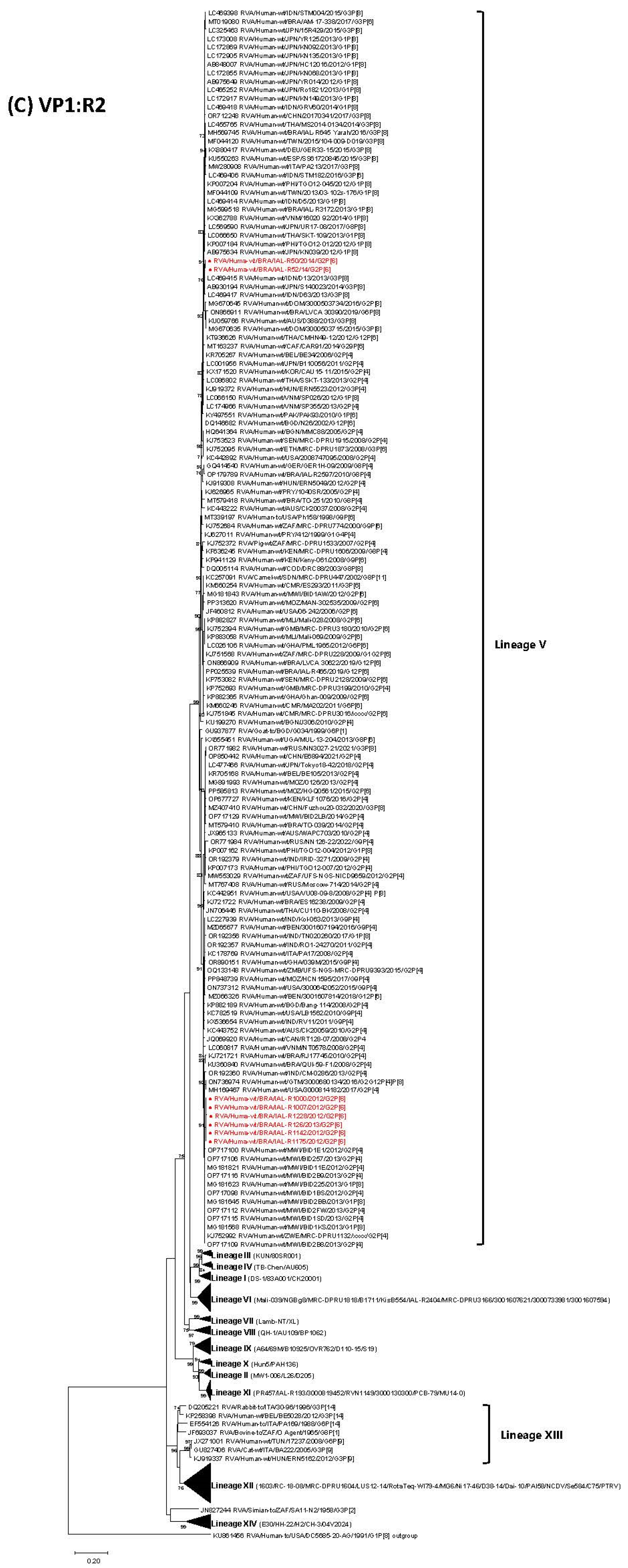 Viruses 17 01103 g001c Viruses 17 01103 g001c