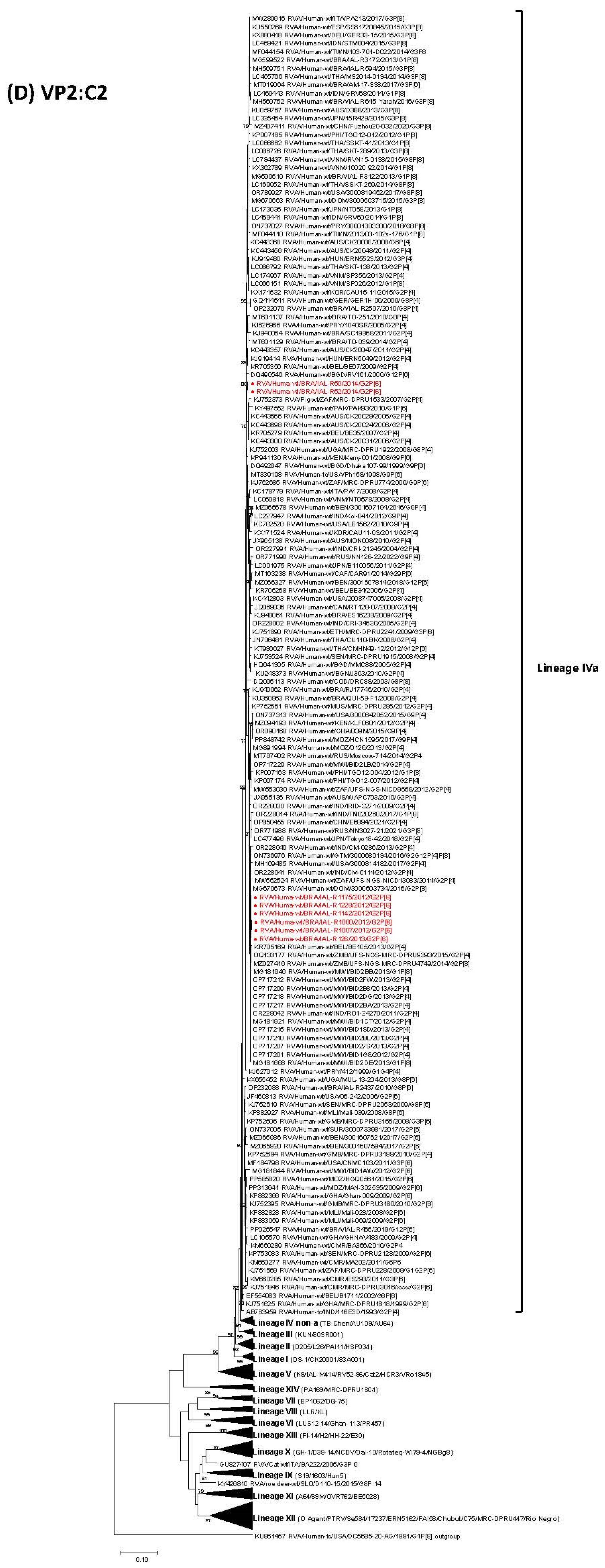 Viruses 17 01103 g001d Viruses 17 01103 g001d