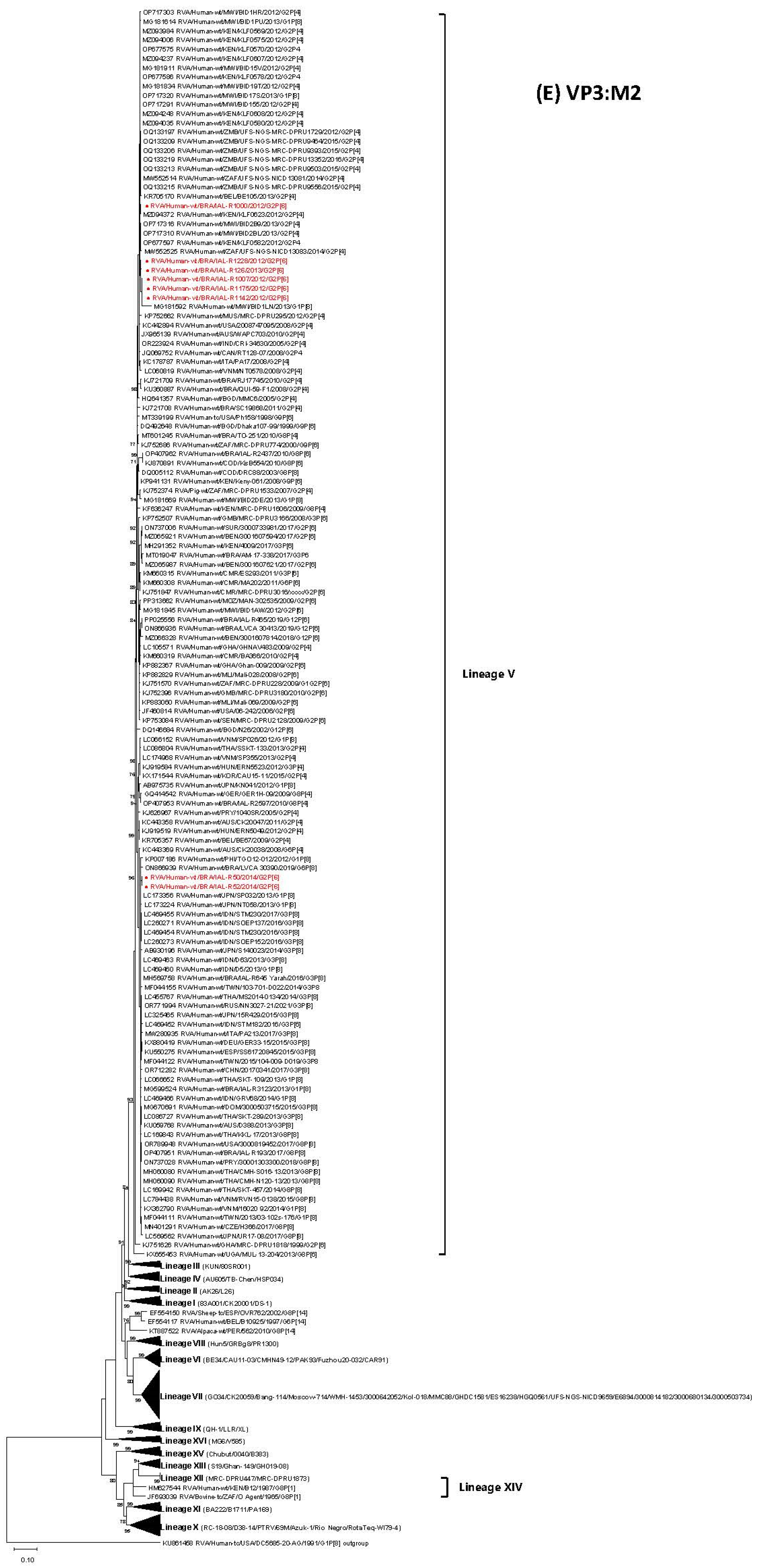 Viruses 17 01103 g001e Viruses 17 01103 g001e