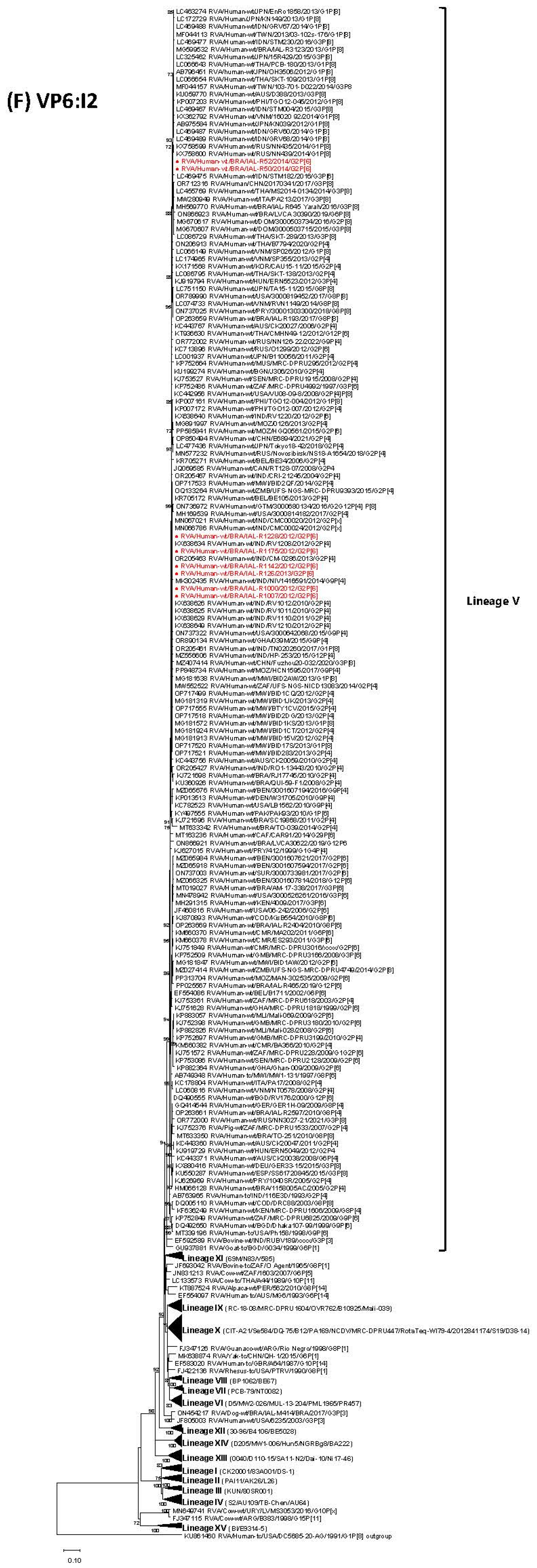 Viruses 17 01103 g001f Viruses 17 01103 g001f