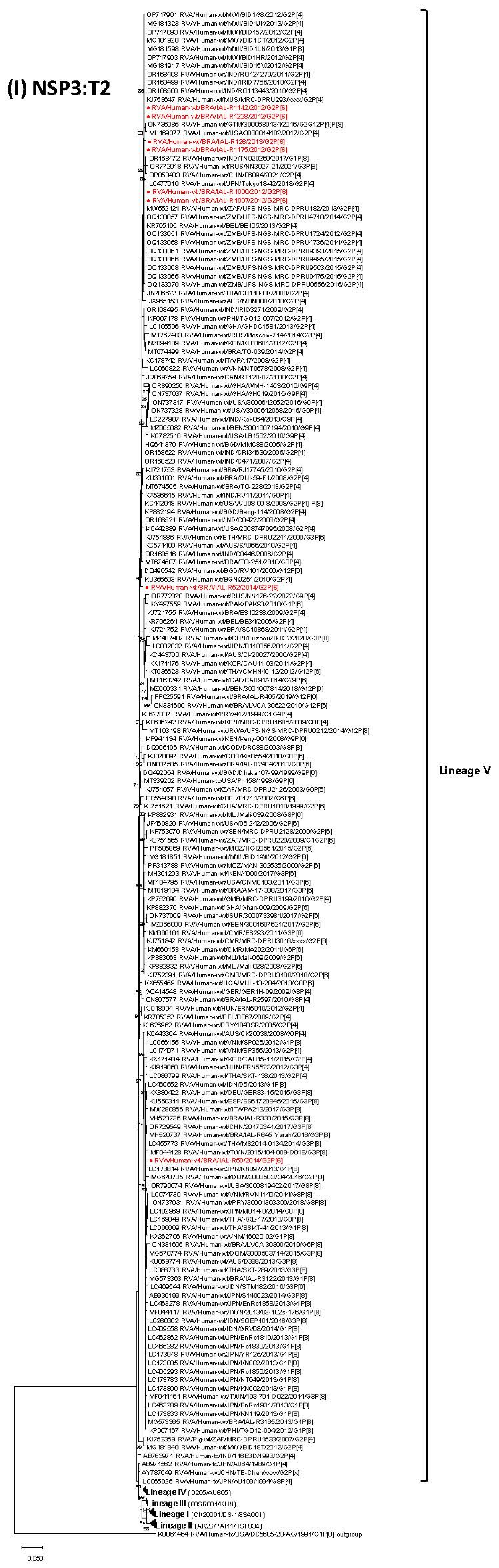 Viruses 17 01103 g001i Viruses 17 01103 g001i