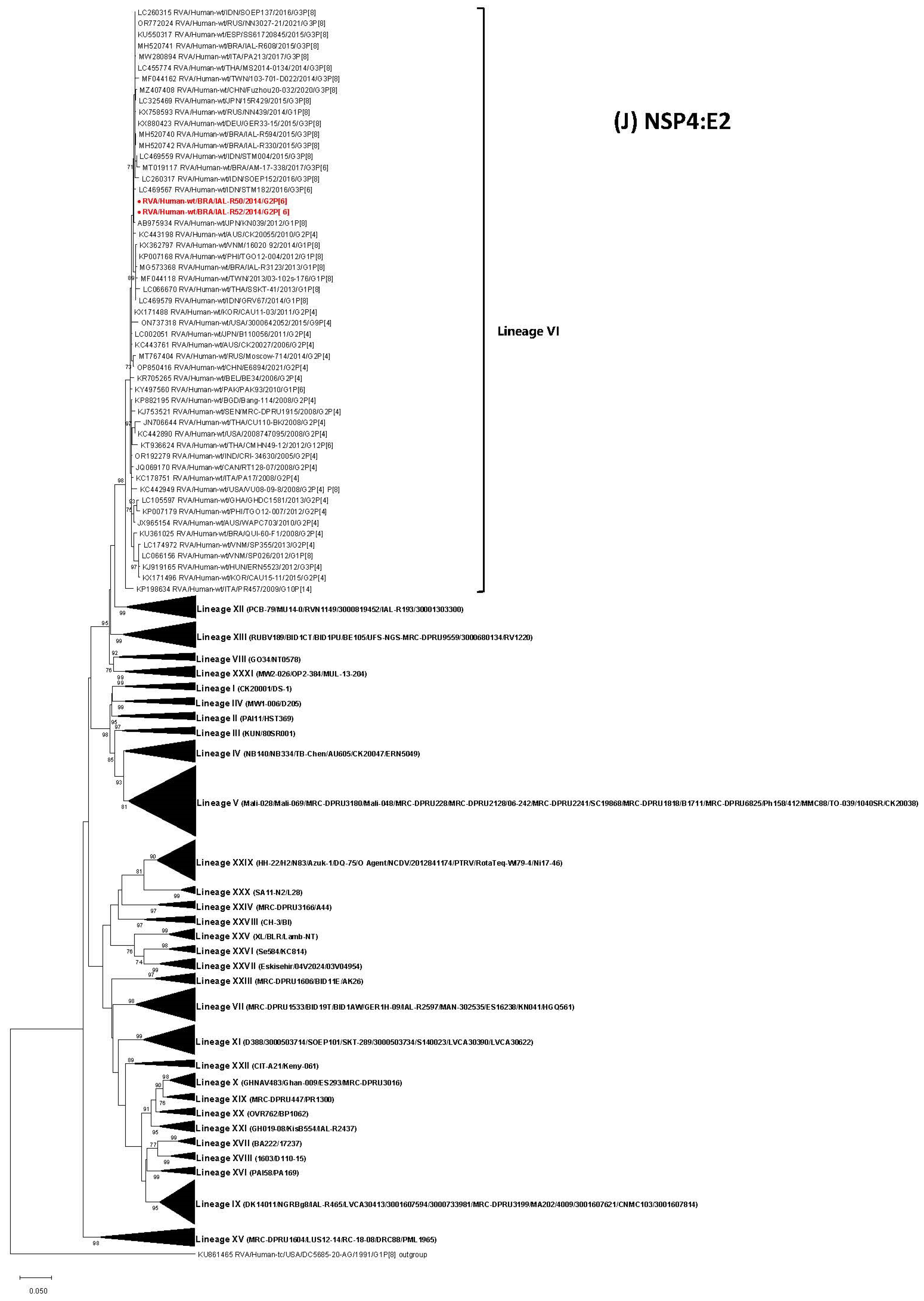 Viruses 17 01103 g001j Viruses 17 01103 g001j
