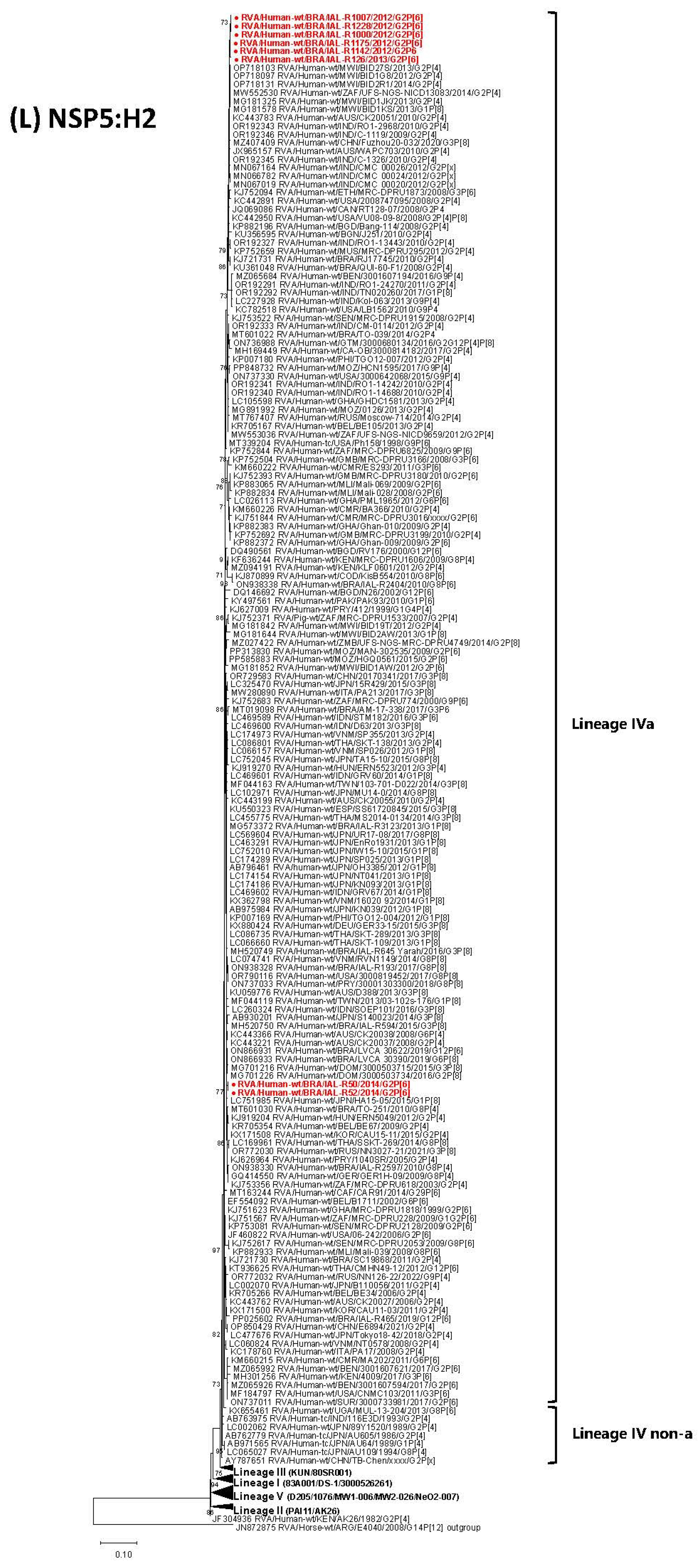 Viruses 17 01103 g001l Viruses 17 01103 g001l