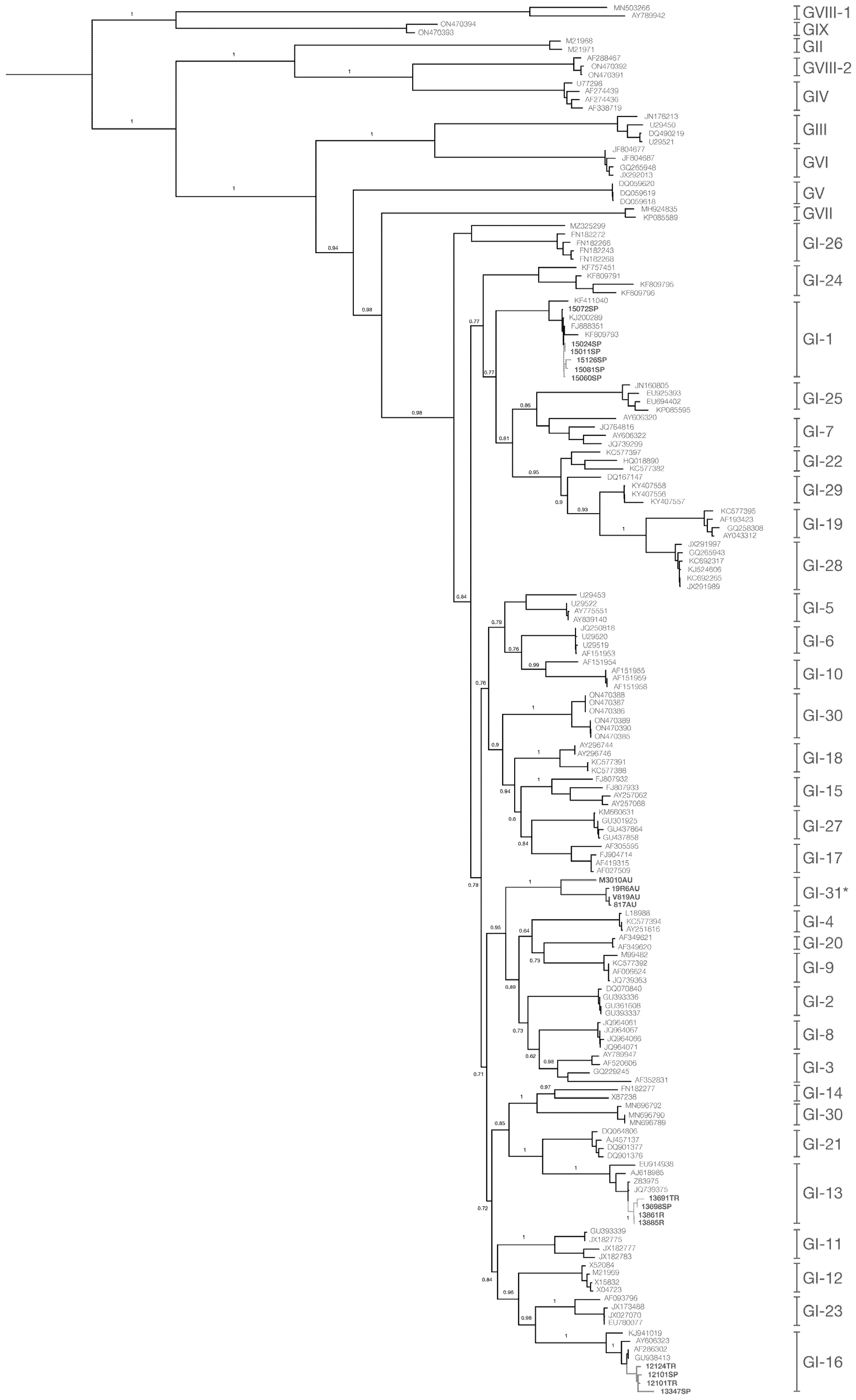Viruses 17 01111 g001 Viruses 17 01111 g001