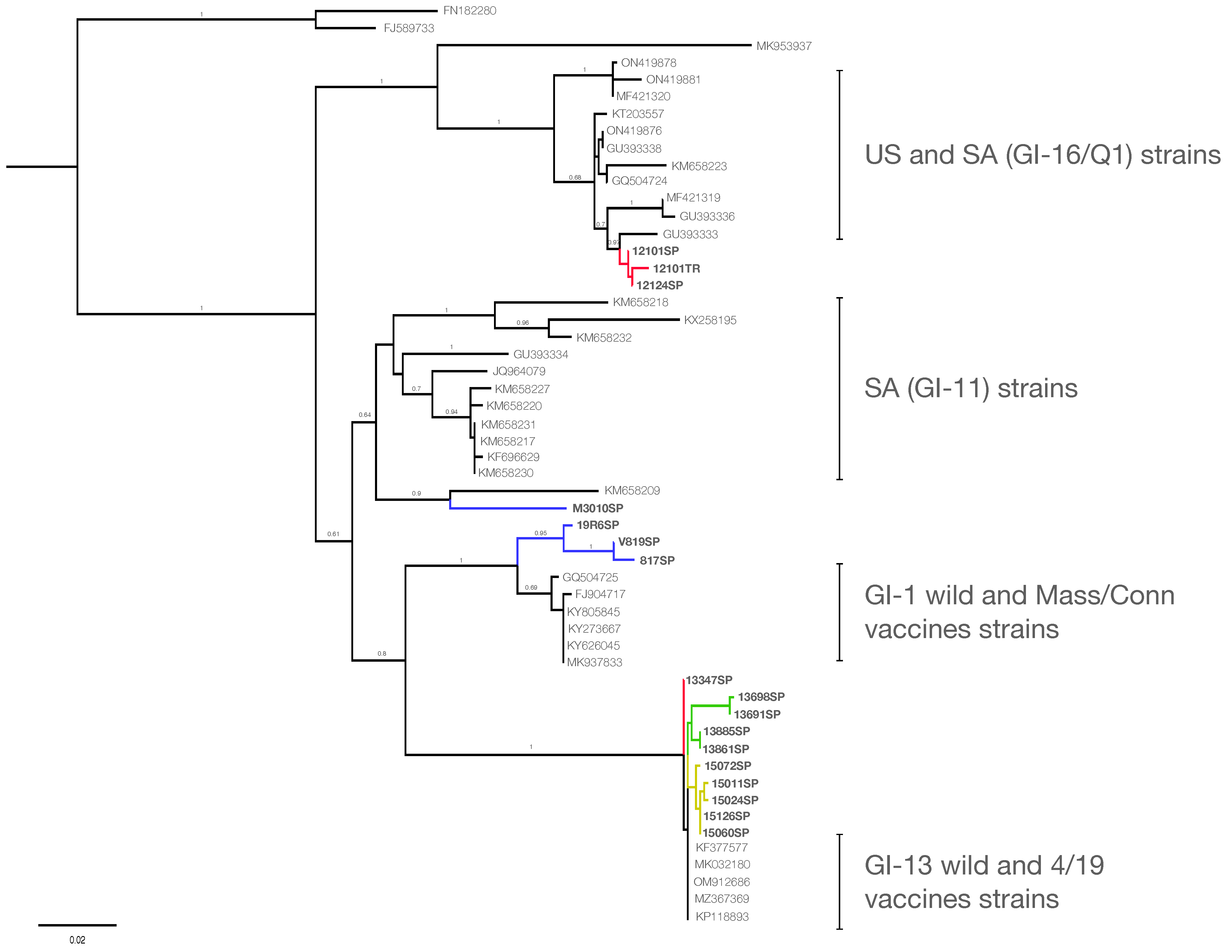 Viruses 17 01111 g002 Viruses 17 01111 g002