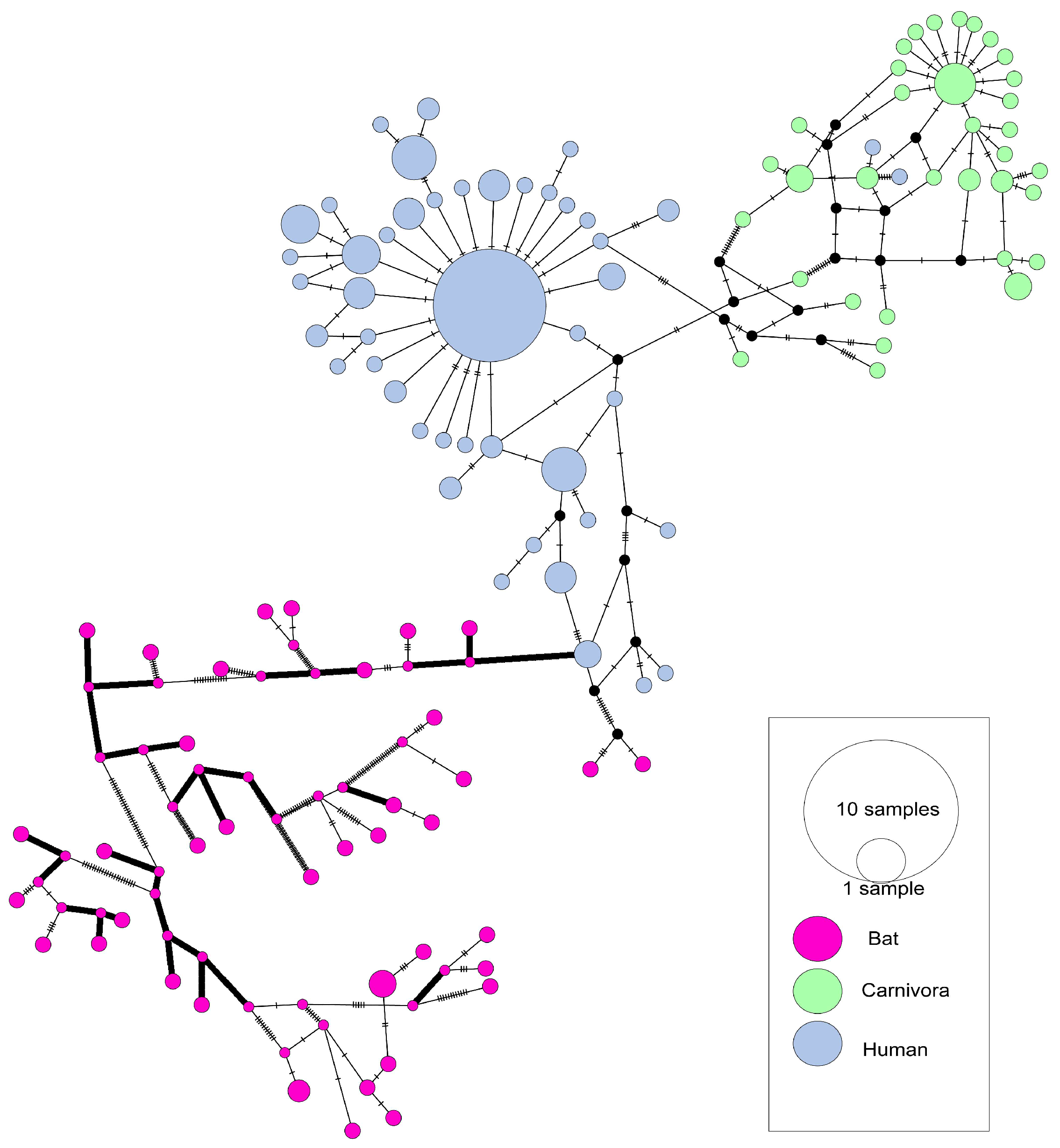 Viruses 17 01114 g002
