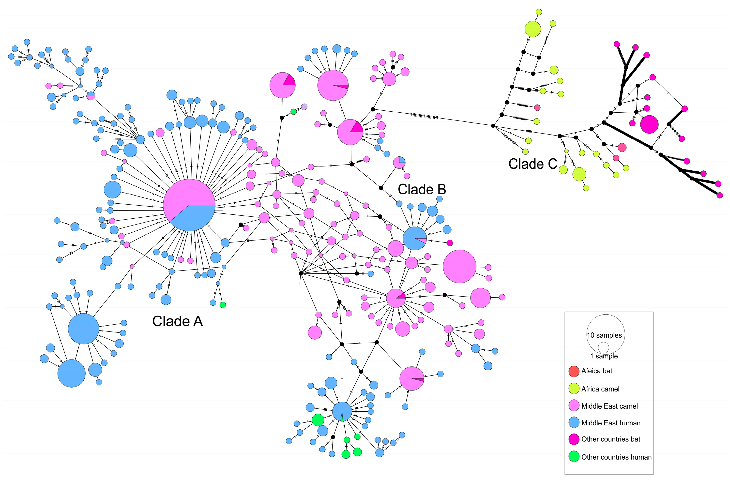 Viruses 17 01114 g003