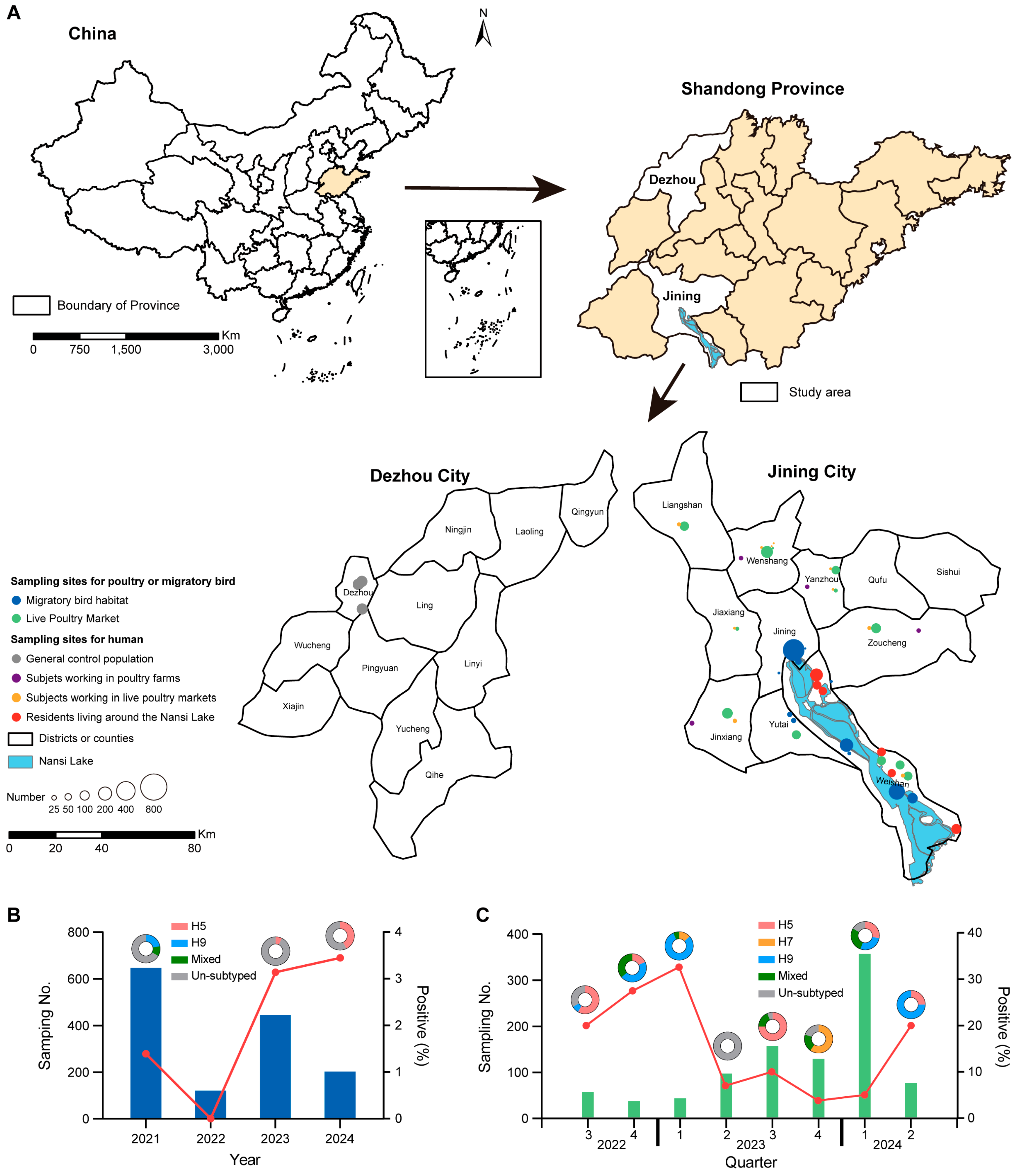 Viruses 17 01117 g001 Viruses 17 01117 g001