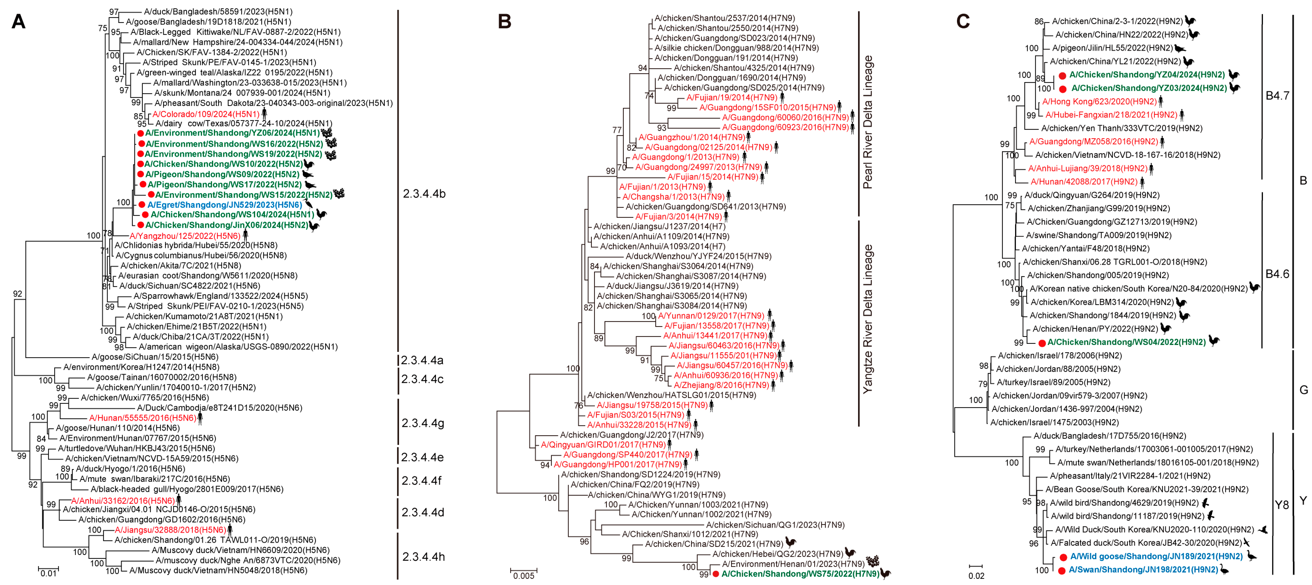 Viruses 17 01117 g002 Viruses 17 01117 g002
