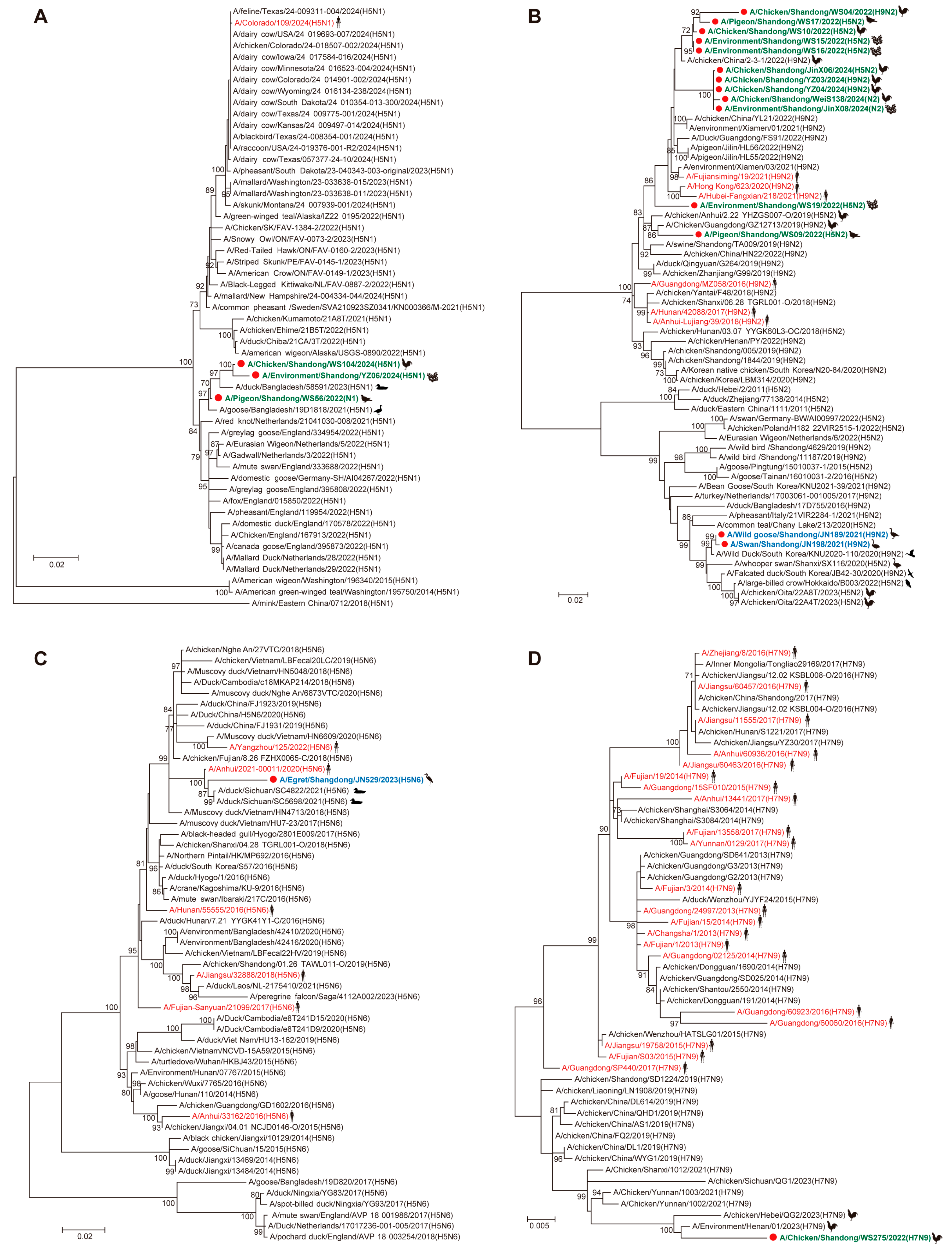 Viruses 17 01117 g003 Viruses 17 01117 g003