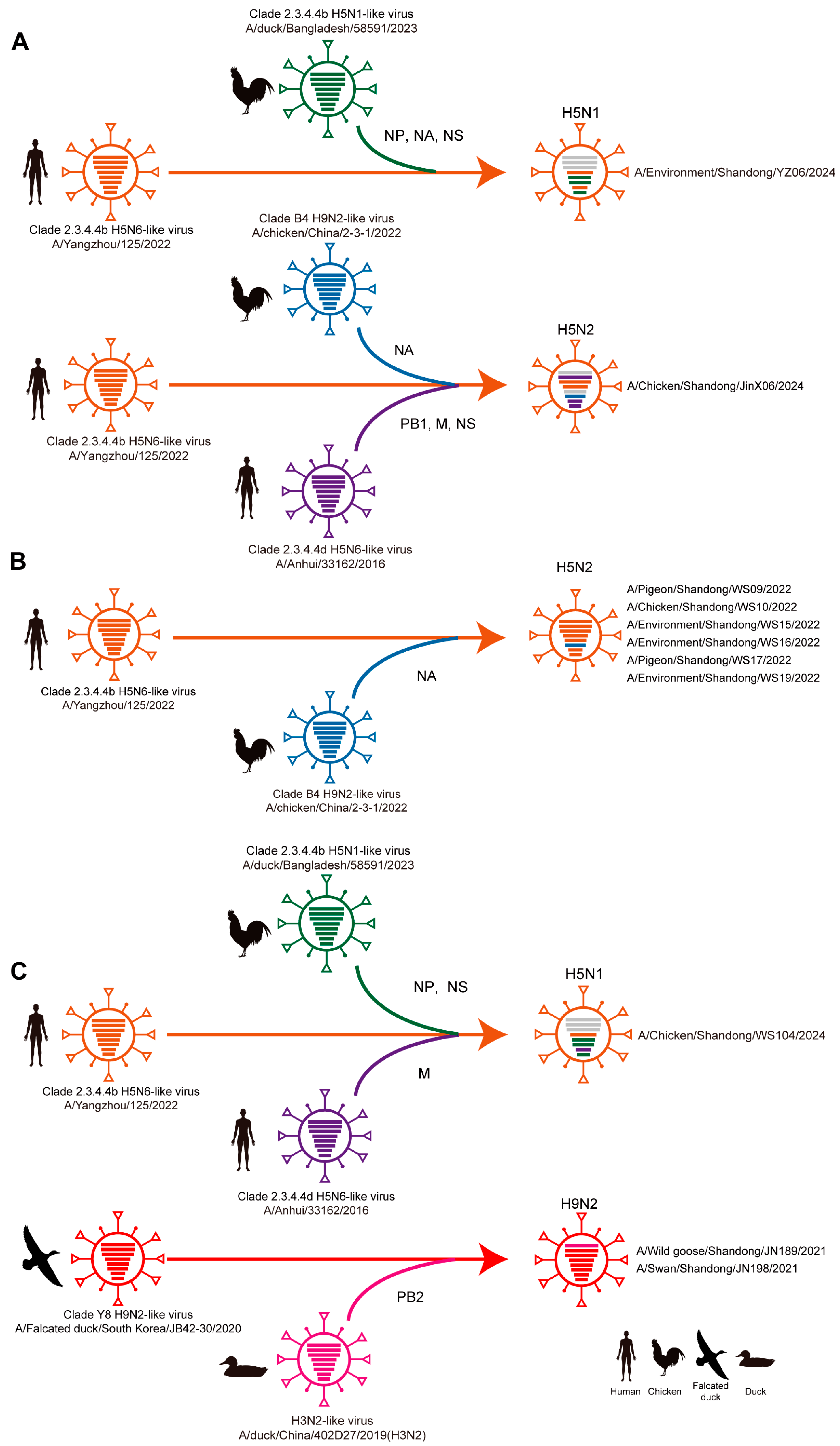 Viruses 17 01117 g004 Viruses 17 01117 g004