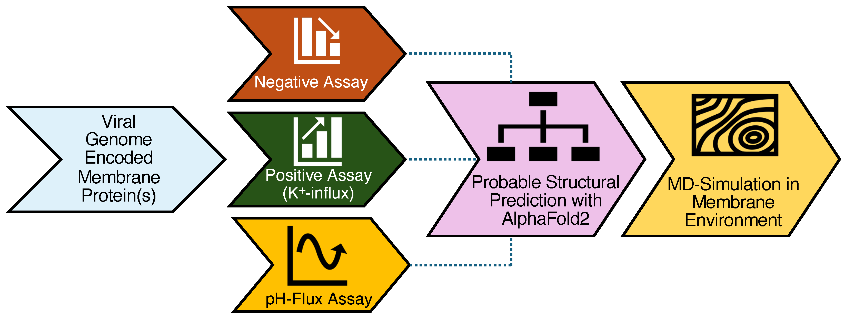Viruses 17 01120 g005 Viruses 17 01120 g005