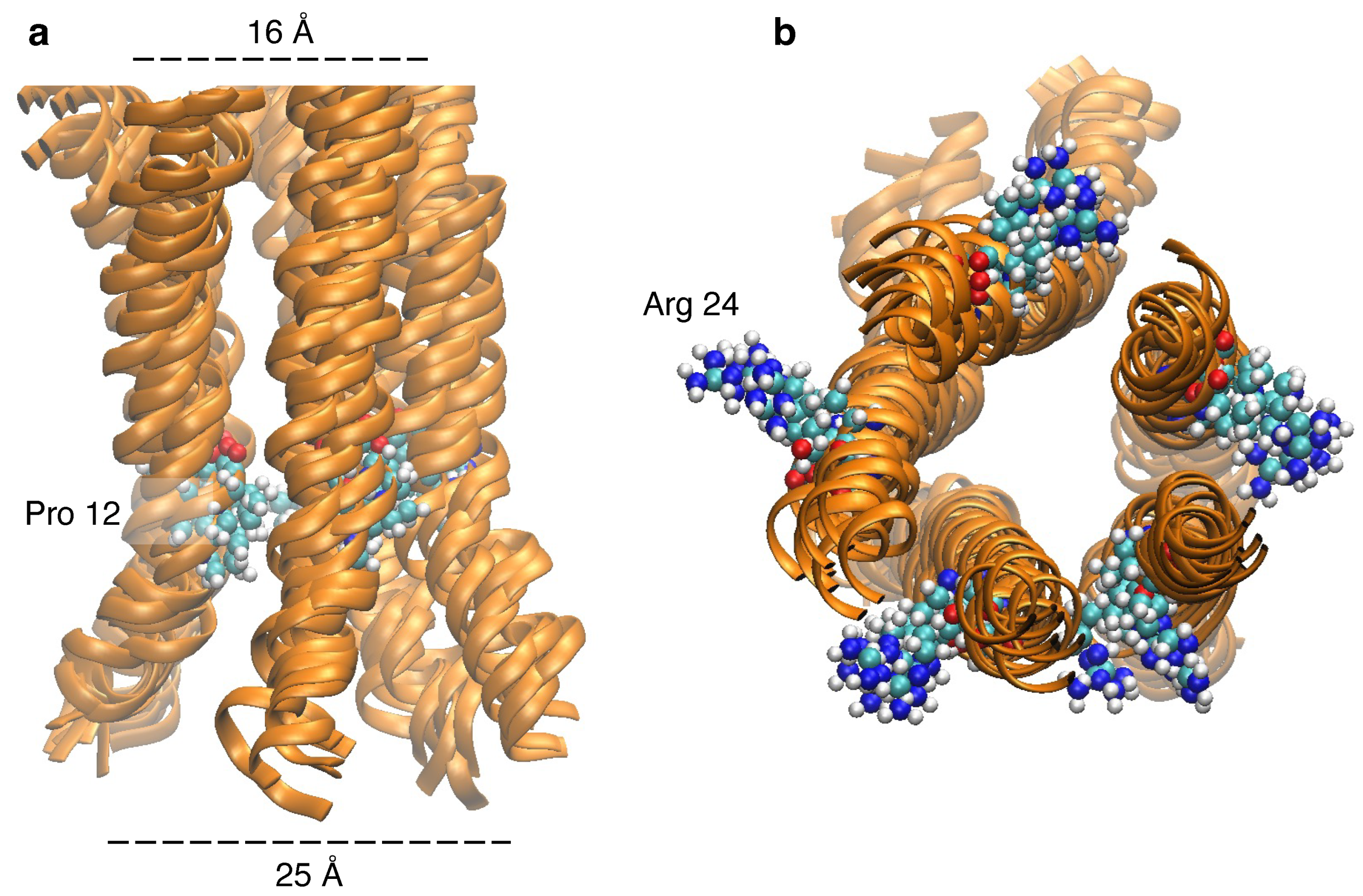 Viruses 17 01120 g006 Viruses 17 01120 g006