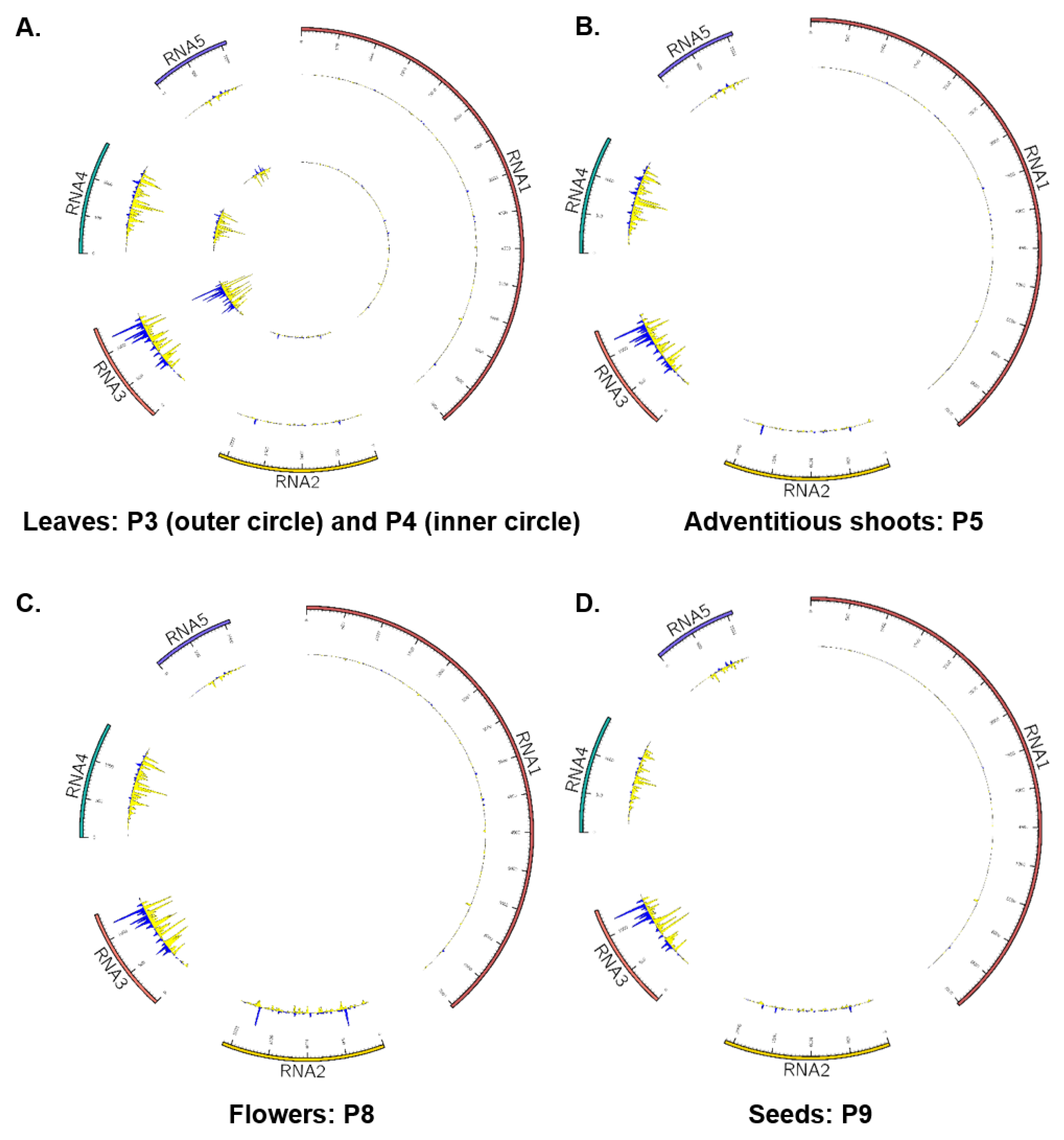 Viruses 17 01122 g006 Viruses 17 01122 g006