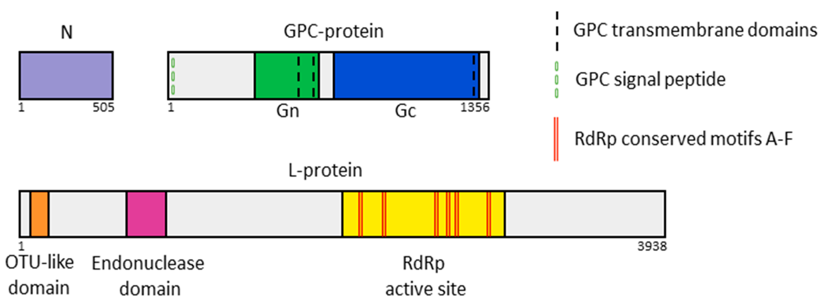 Viruses 17 01125 g002 Viruses 17 01125 g002