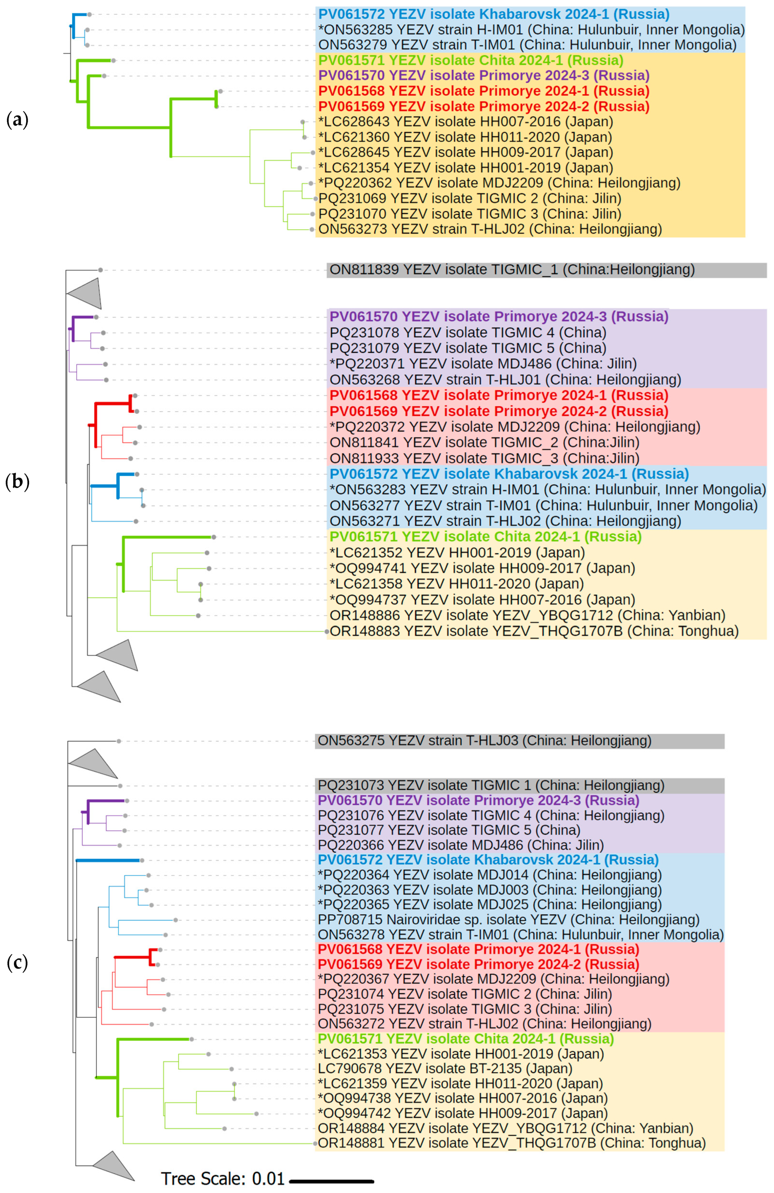 Viruses 17 01125 g004 Viruses 17 01125 g004