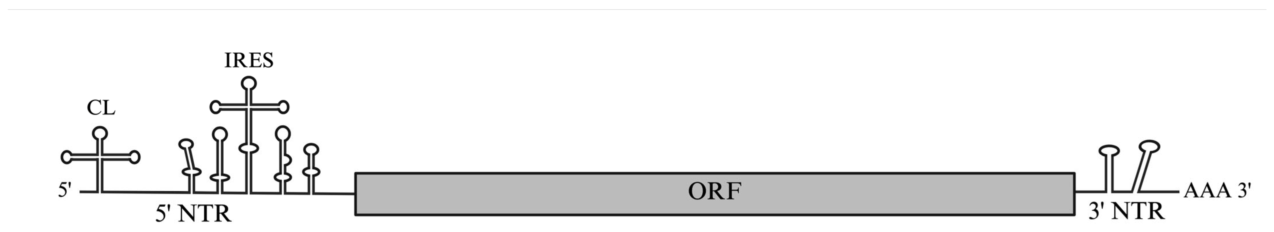 Viruses 17 01127 g001 Viruses 17 01127 g001