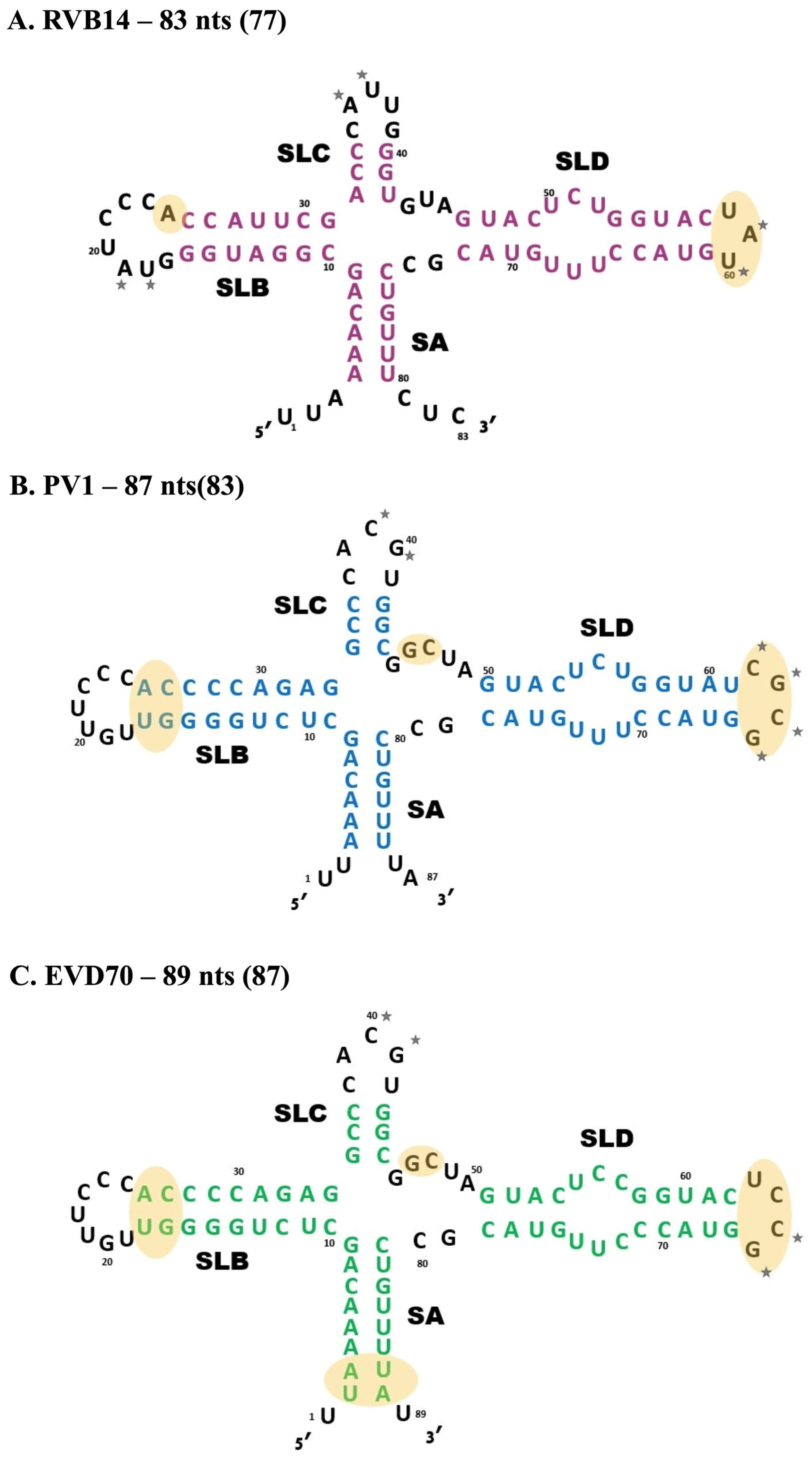 Viruses 17 01127 g002 Viruses 17 01127 g002
