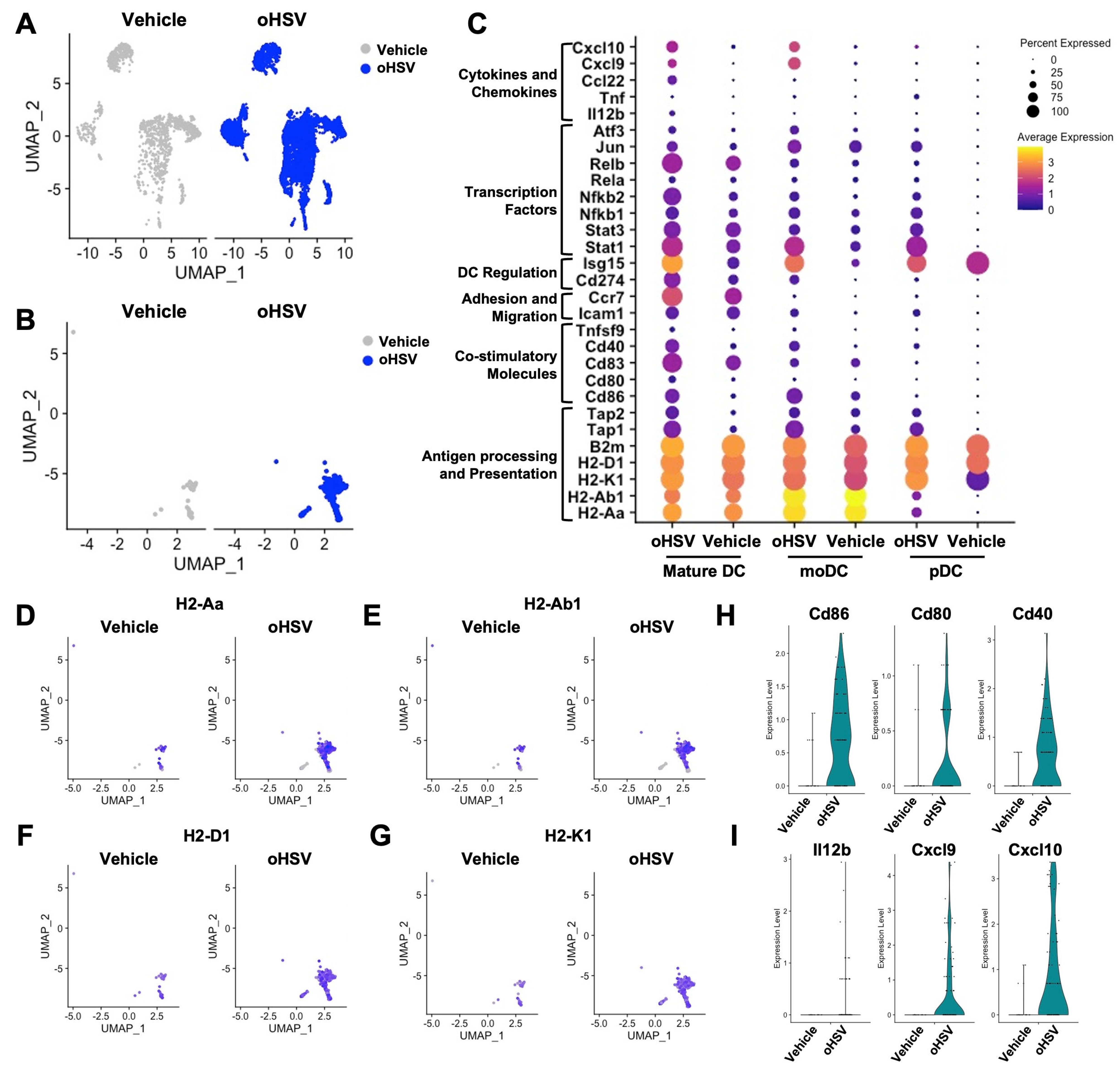 Viruses 17 01134 g001 Viruses 17 01134 g001