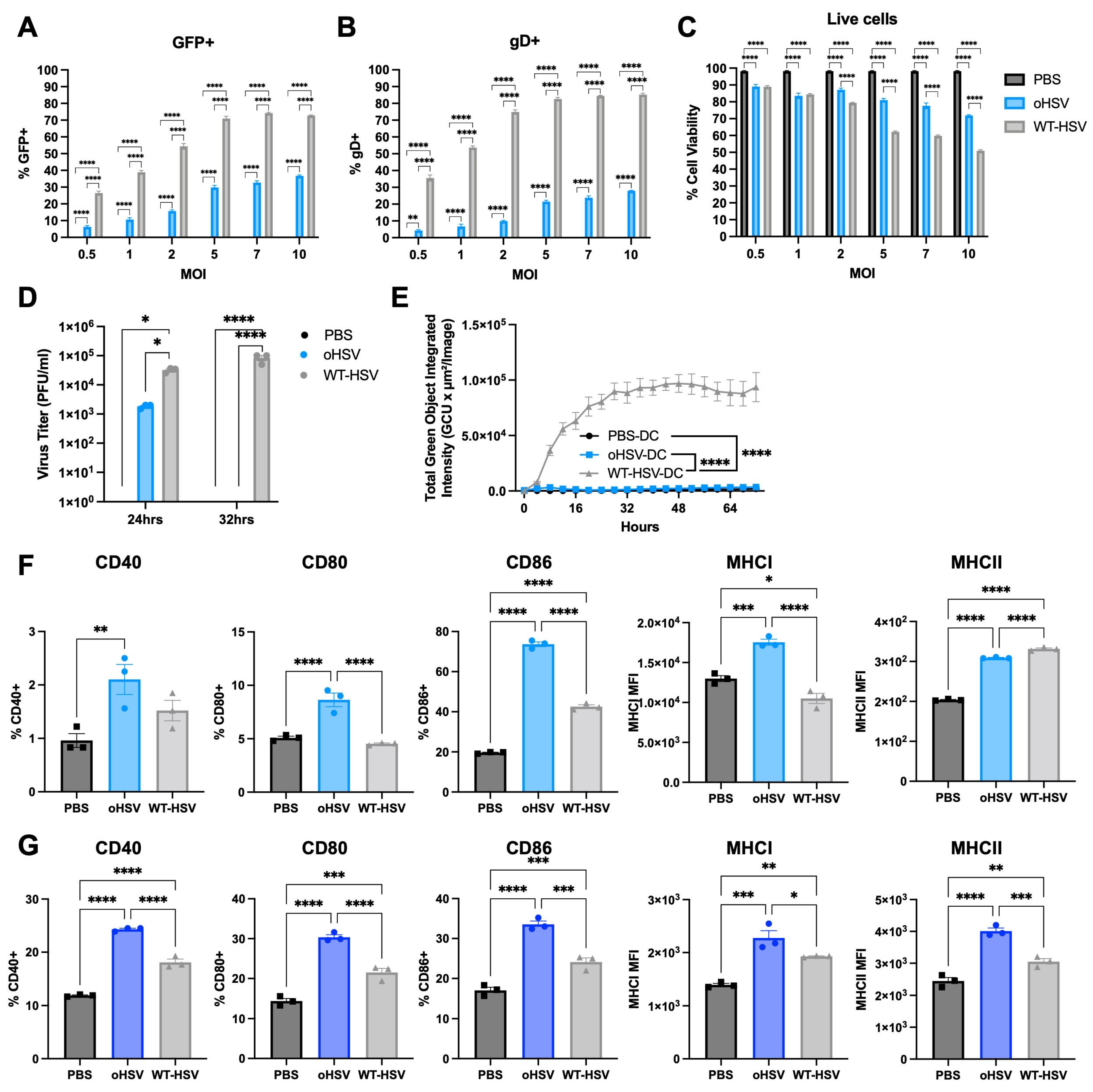Viruses 17 01134 g002 Viruses 17 01134 g002