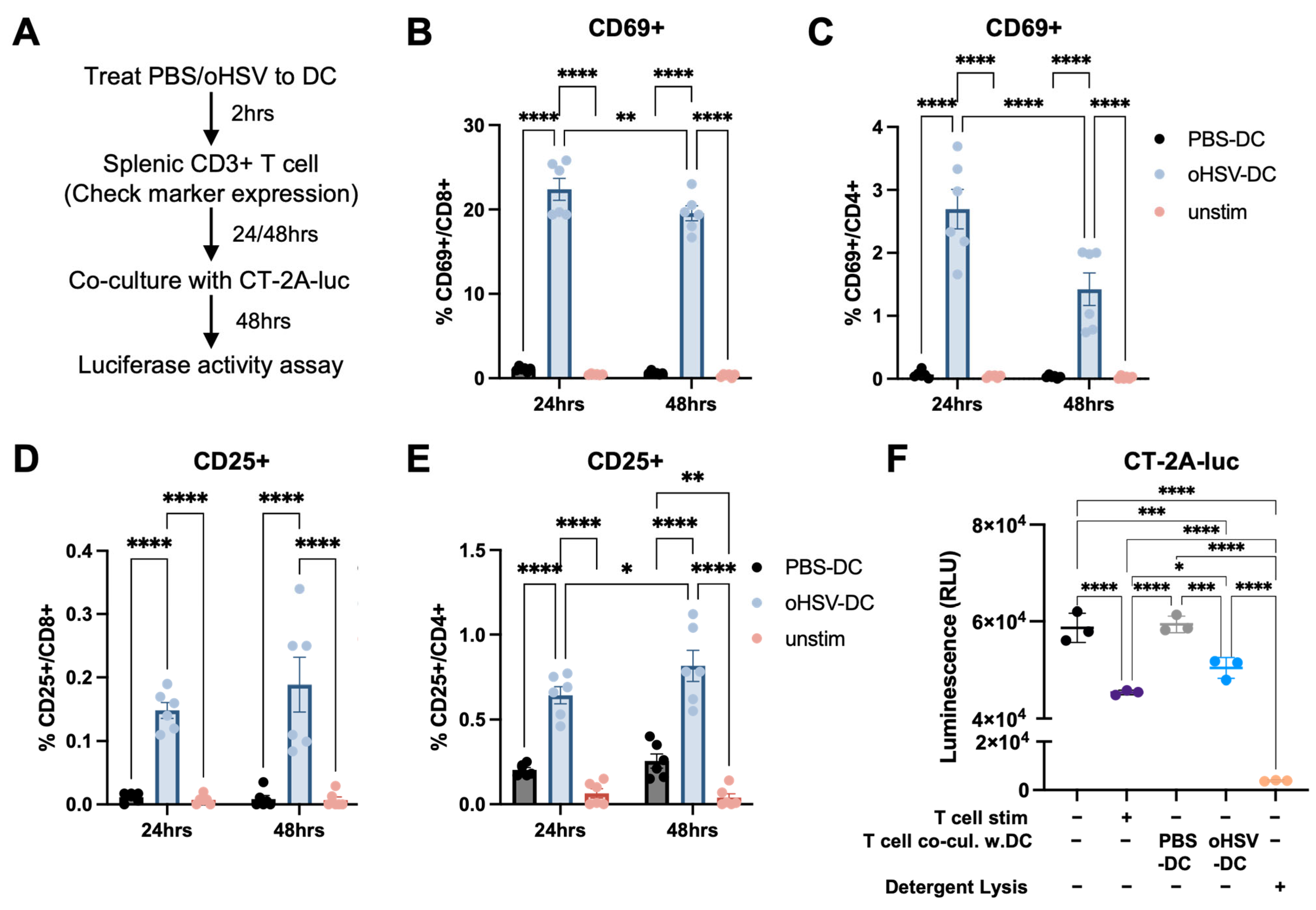 Viruses 17 01134 g003 Viruses 17 01134 g003