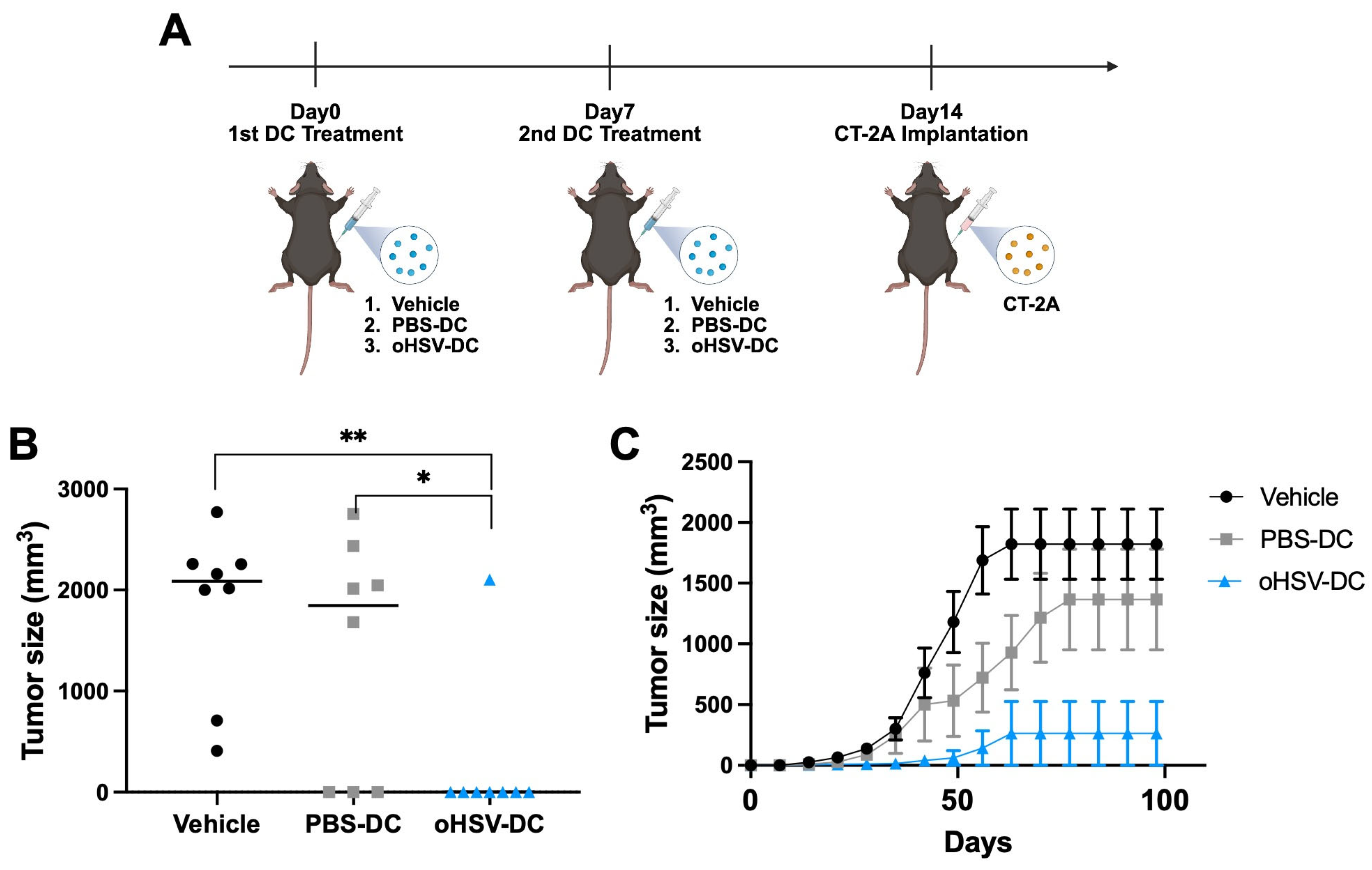 Viruses 17 01134 g004 Viruses 17 01134 g004