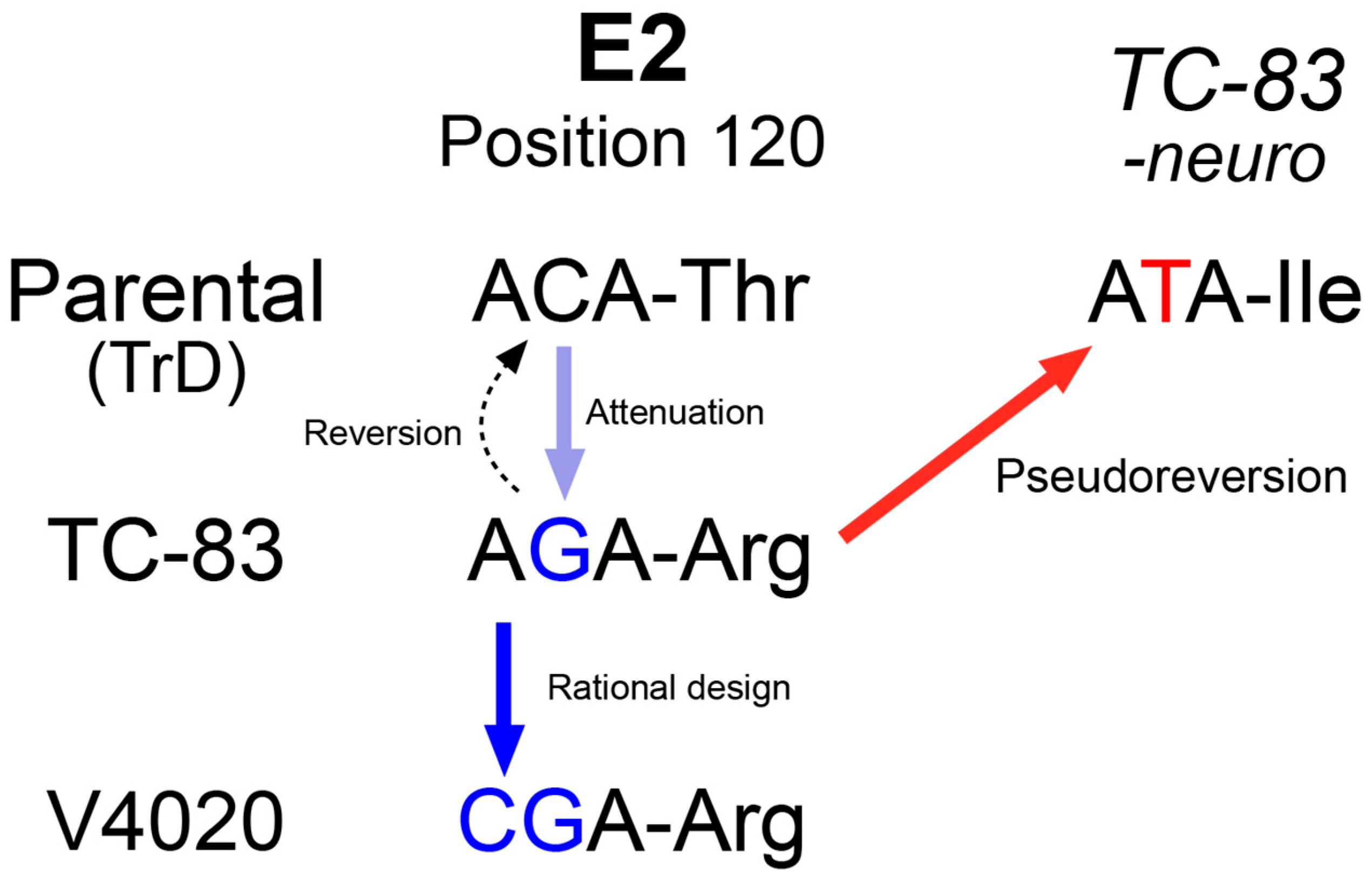 Viruses 17 01136 g006 Viruses 17 01136 g006